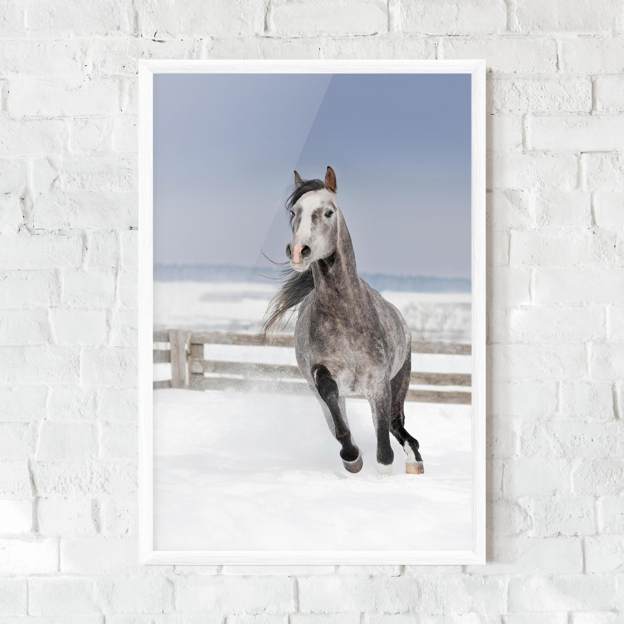 Plakat w Ramie Horse Running Free mockup 0
