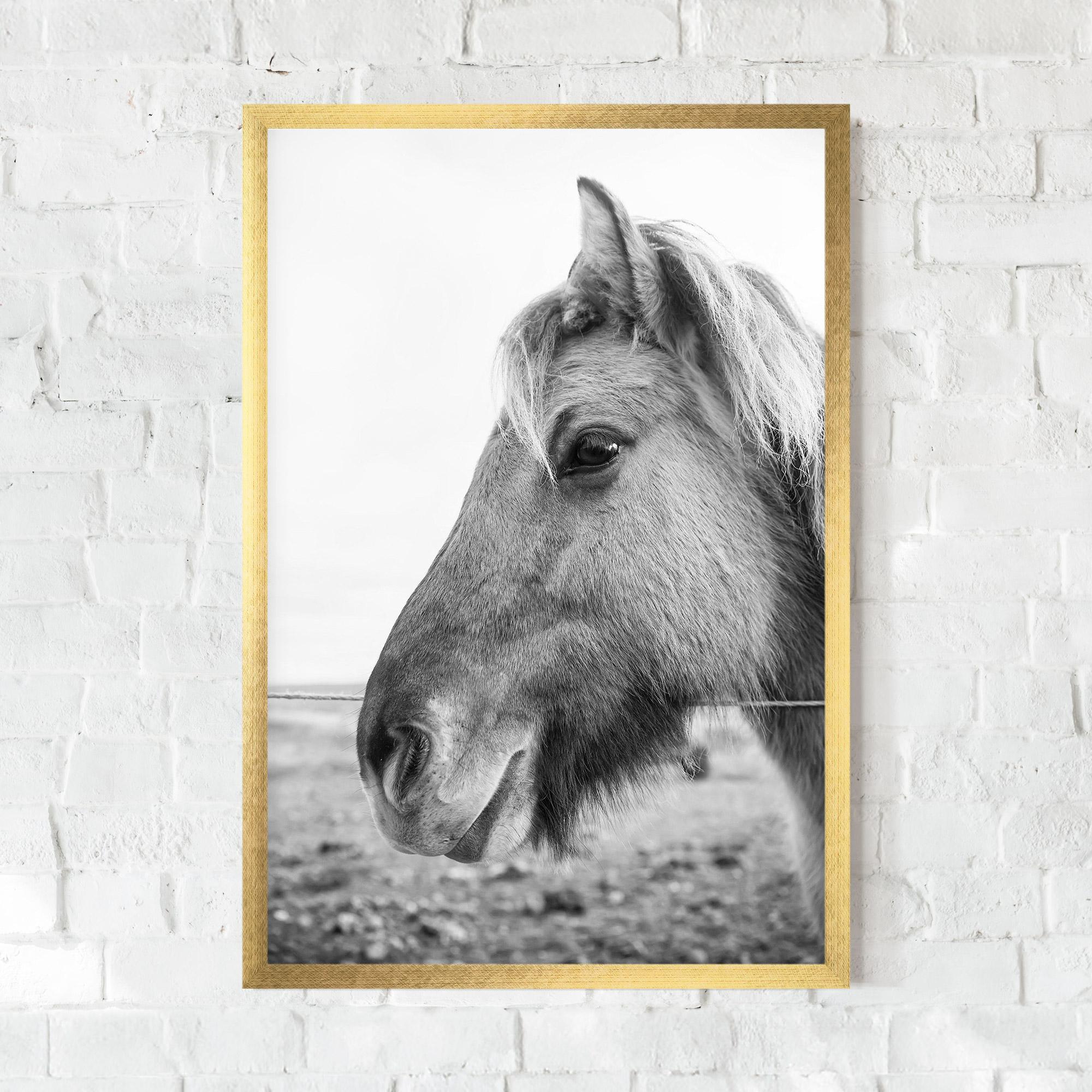 Plakat w Ramie Gray Horse Head mockup 0
