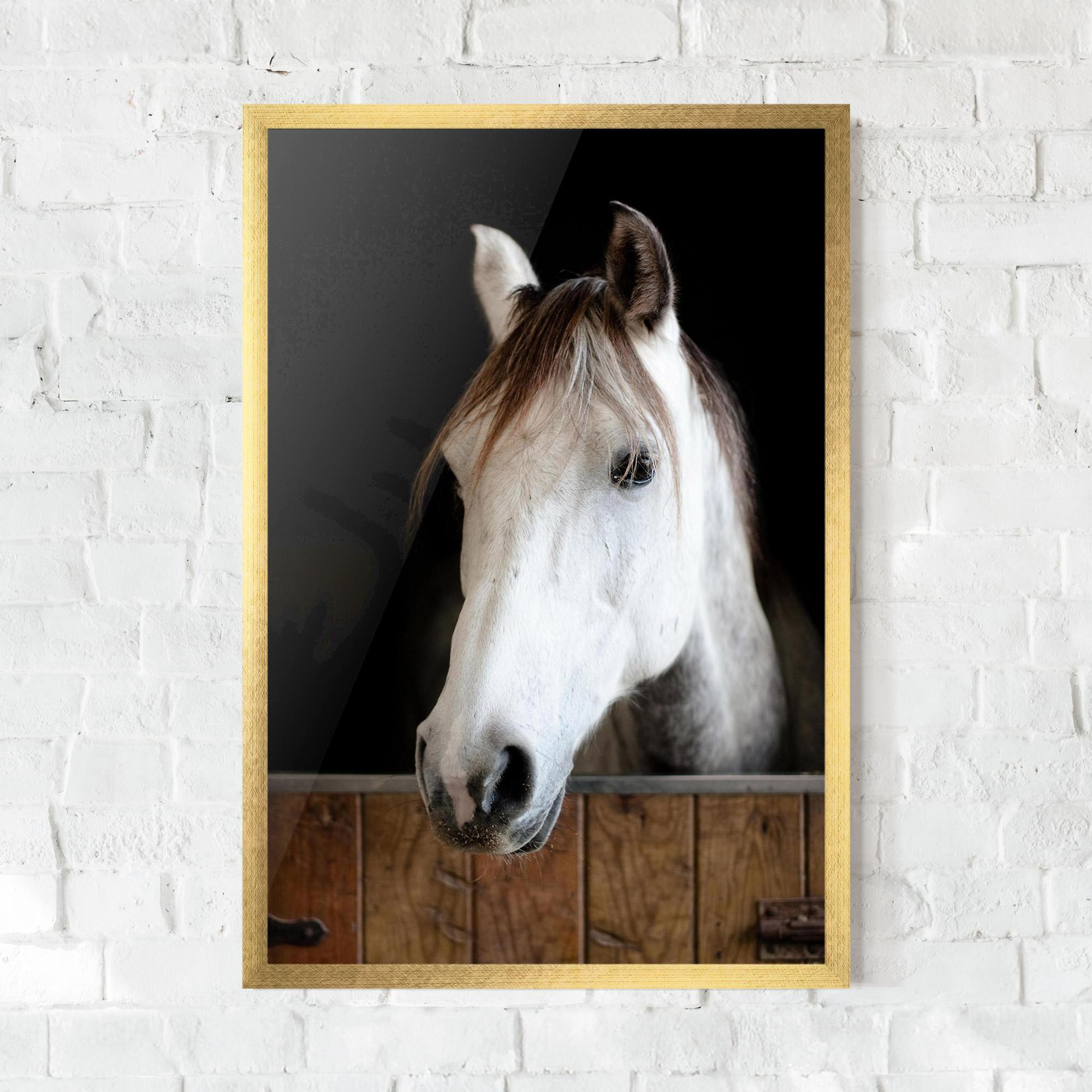 Plakat w Ramie Grey Horse Head mockup 0