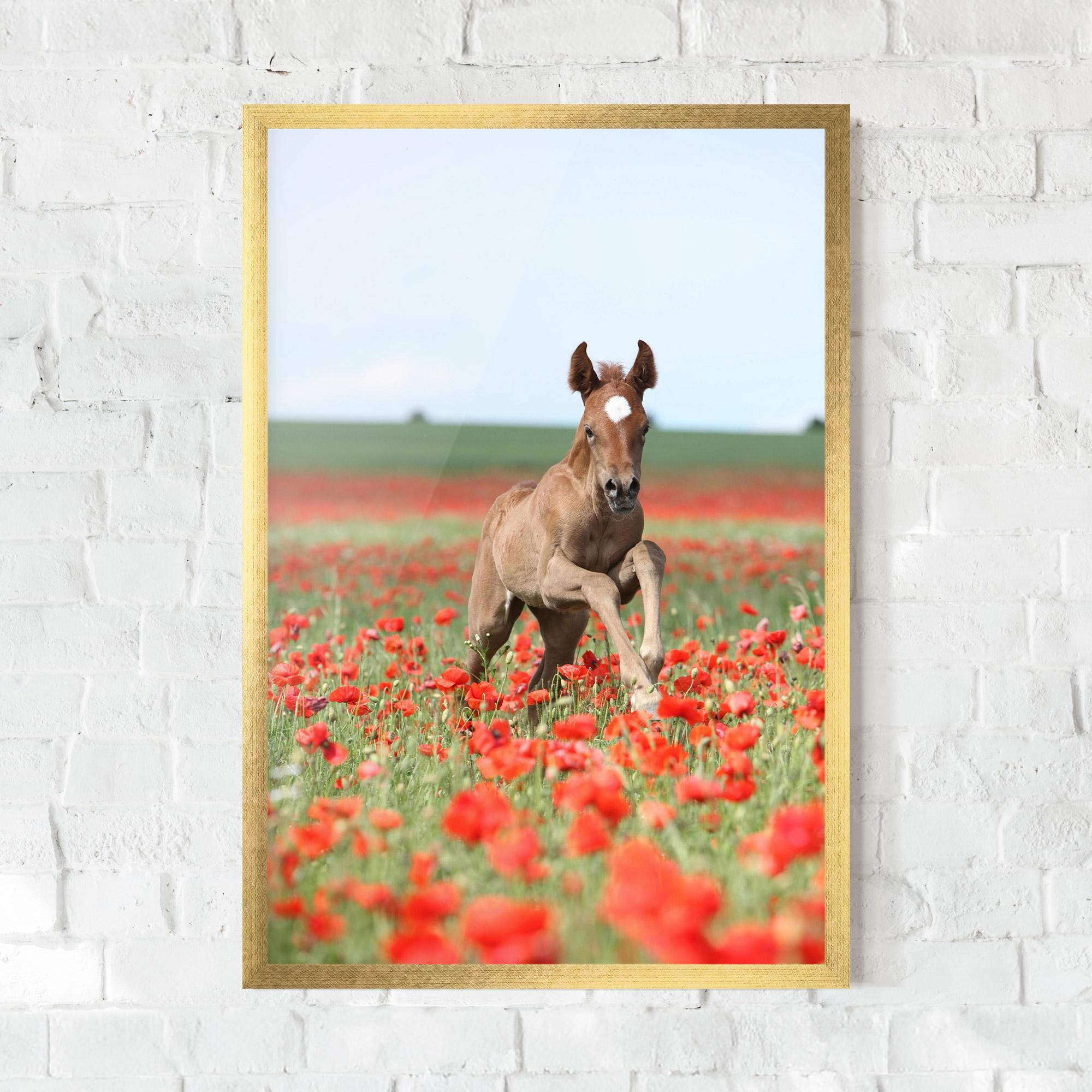 Plakat w Ramie Red Flowers Horse mockup 0