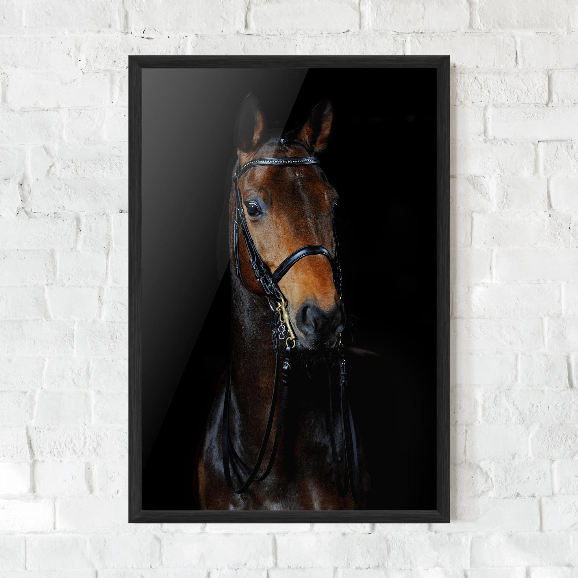 Plakat w Ramie Brown Horse On Black mockup 0