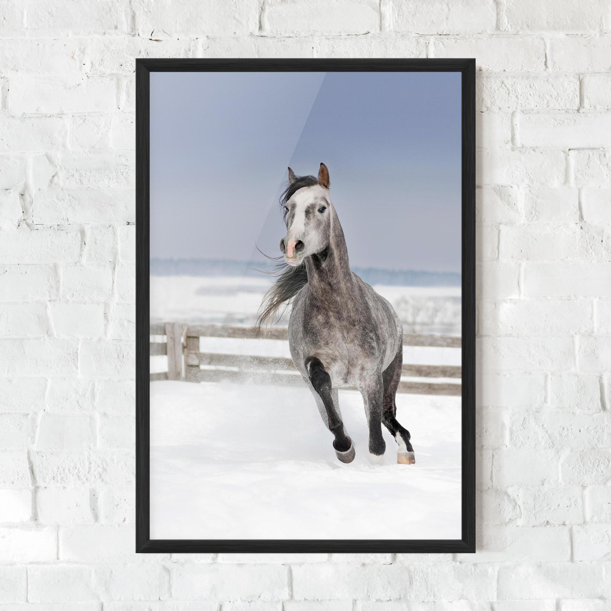 Plakat w Ramie Horse Running Free mockup 0