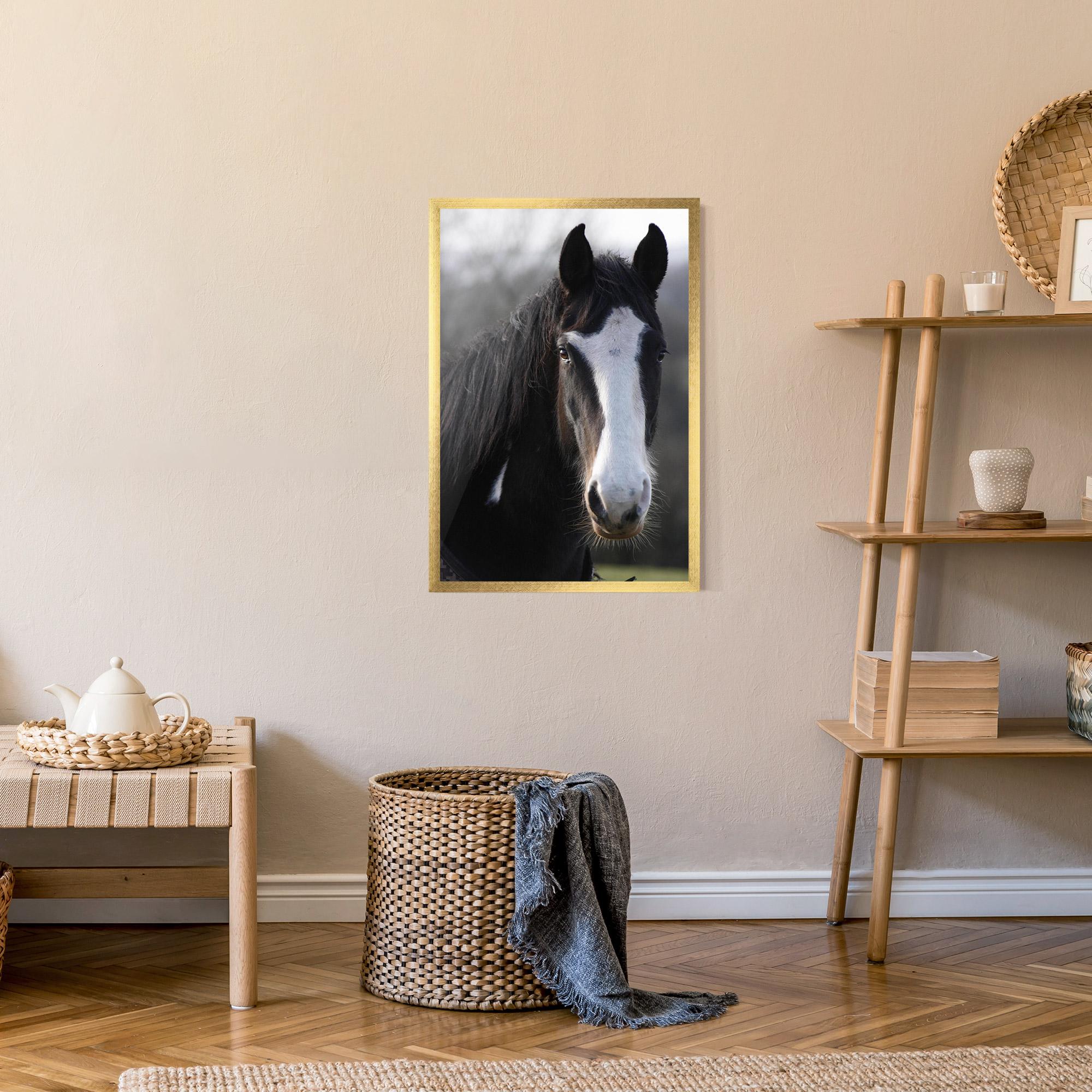 Plakat w Ramie Horse Black Portrait mockup 9