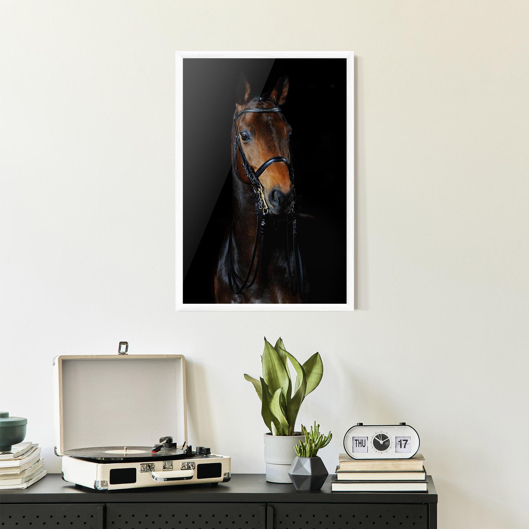 Plakat w Ramie Brown Horse On Black mockup 2