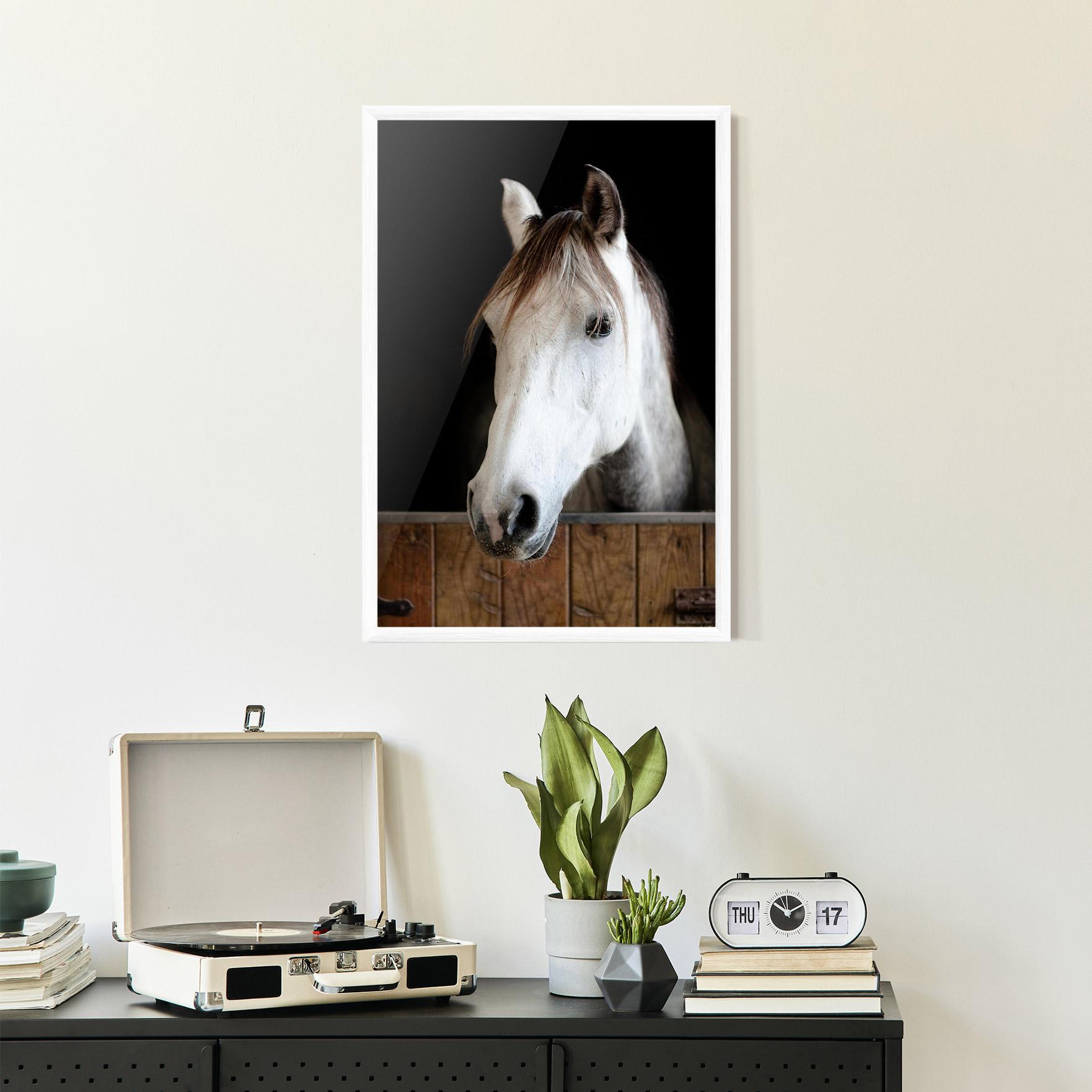 Plakat w Ramie Grey Horse Head mockup 2
