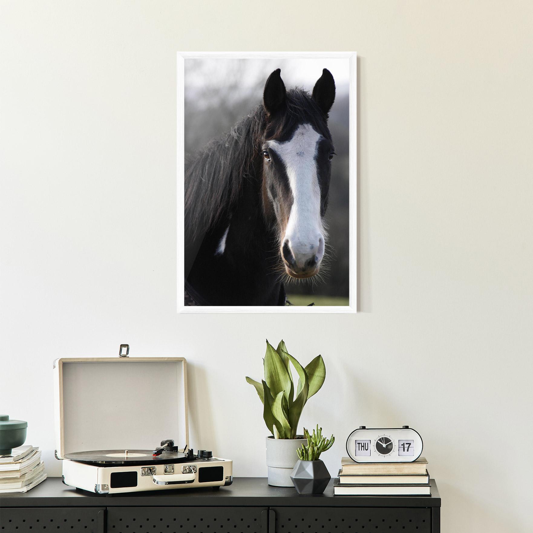 Plakat w Ramie Horse Black Portrait mockup 2
