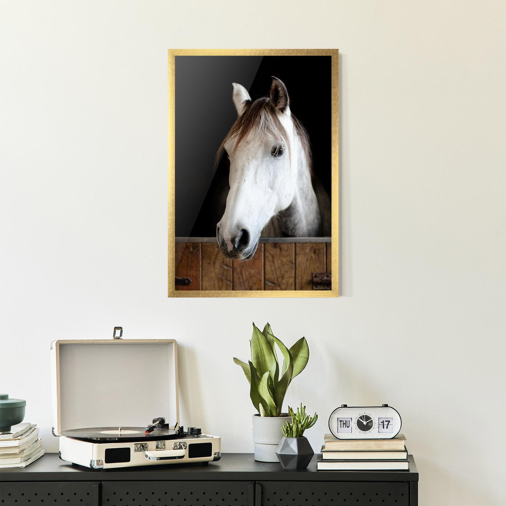 Plakat w Ramie Grey Horse Head mockup 2