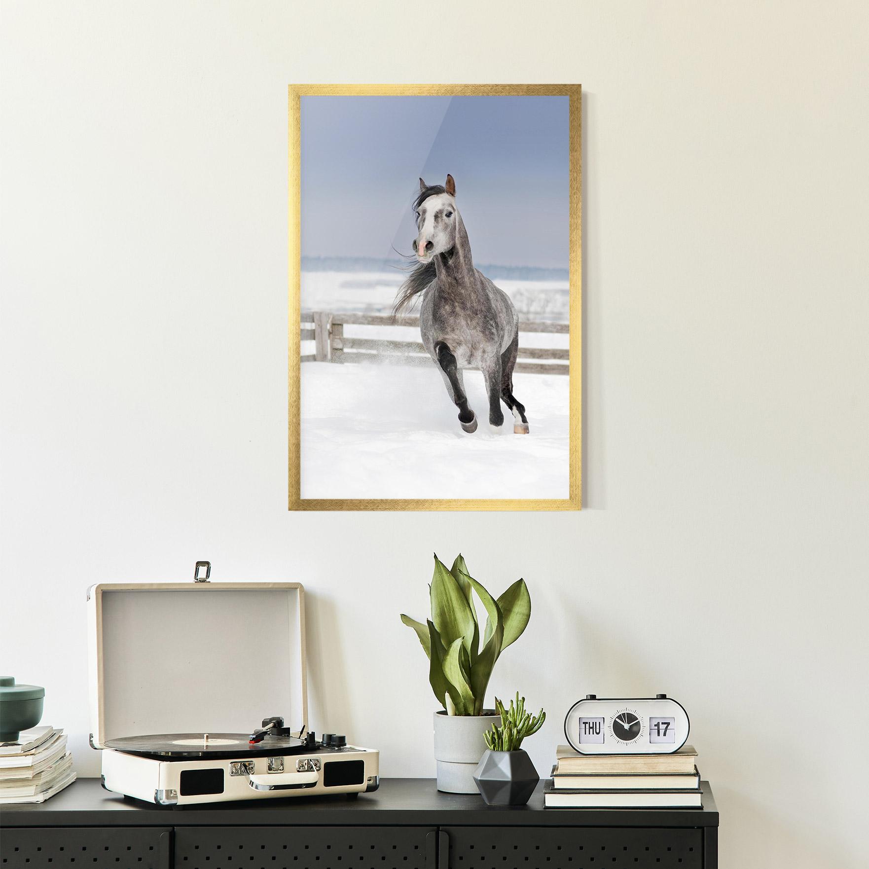 Plakat w Ramie Horse Running Free mockup 2