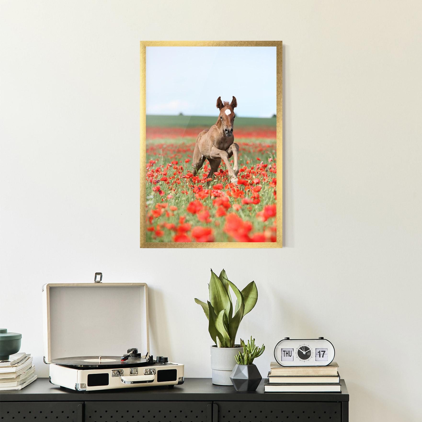 Plakat w Ramie Red Flowers Horse mockup 2