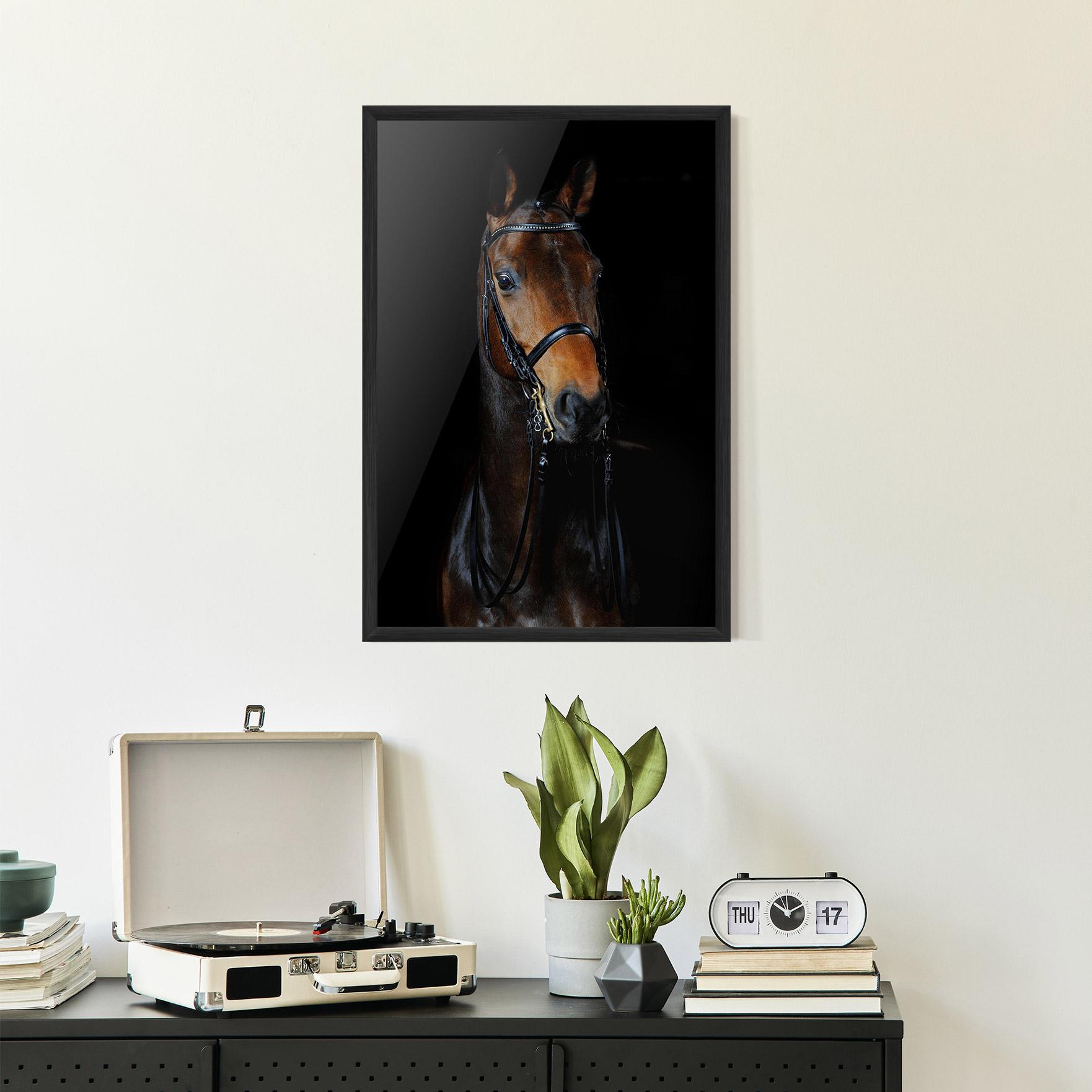 Plakat w Ramie Brown Horse On Black mockup 2