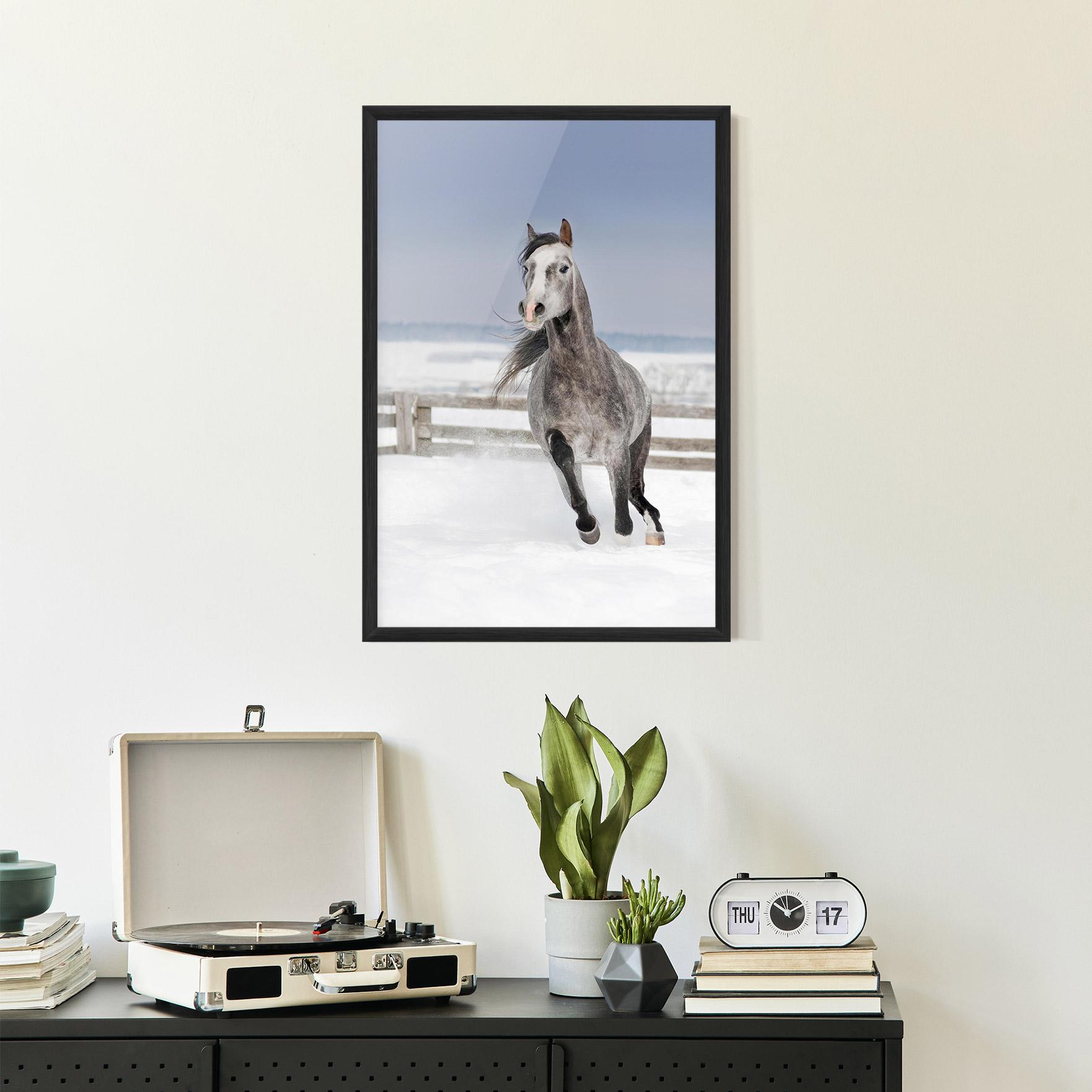 Plakat w Ramie Horse Running Free mockup 2