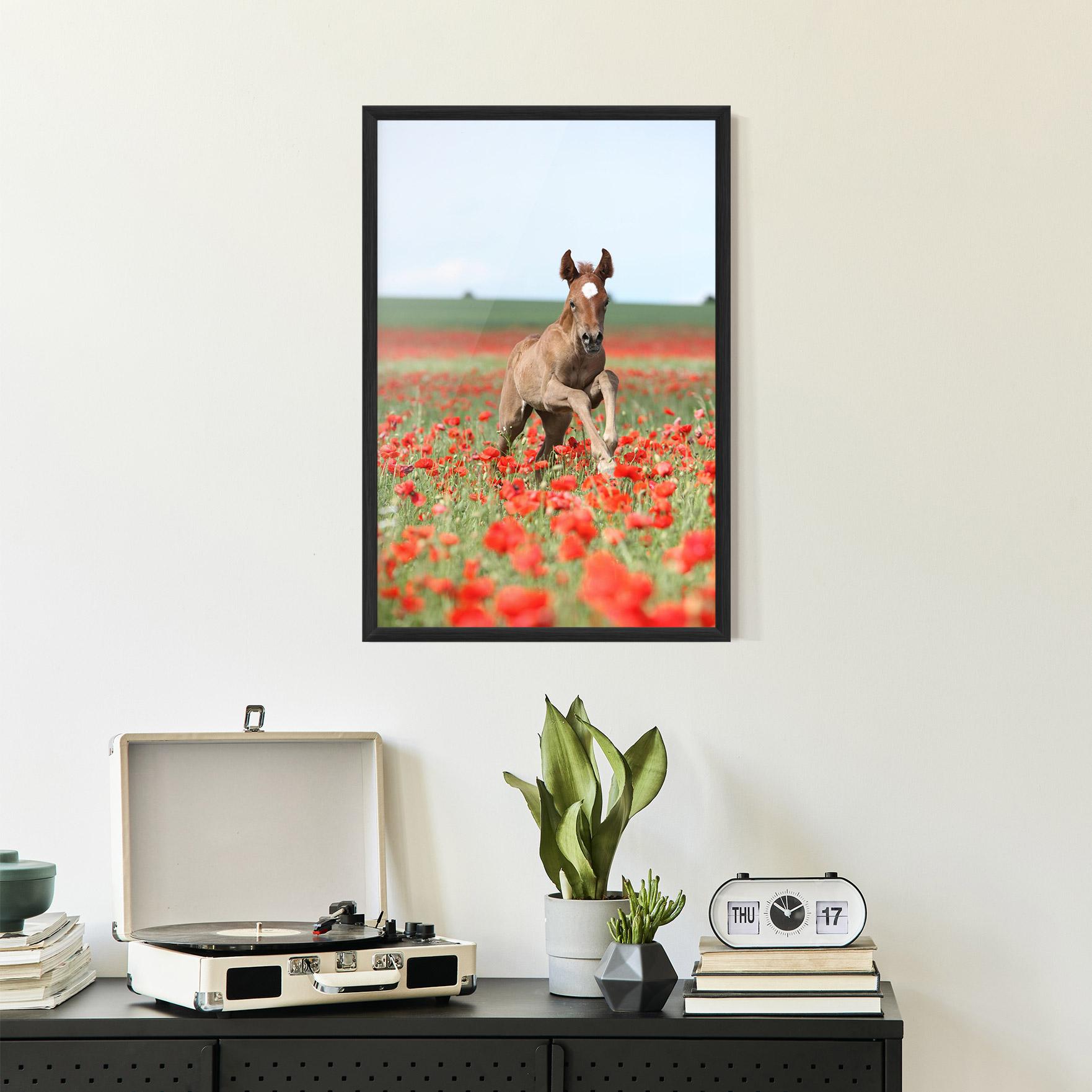 Plakat w Ramie Red Flowers Horse mockup 2