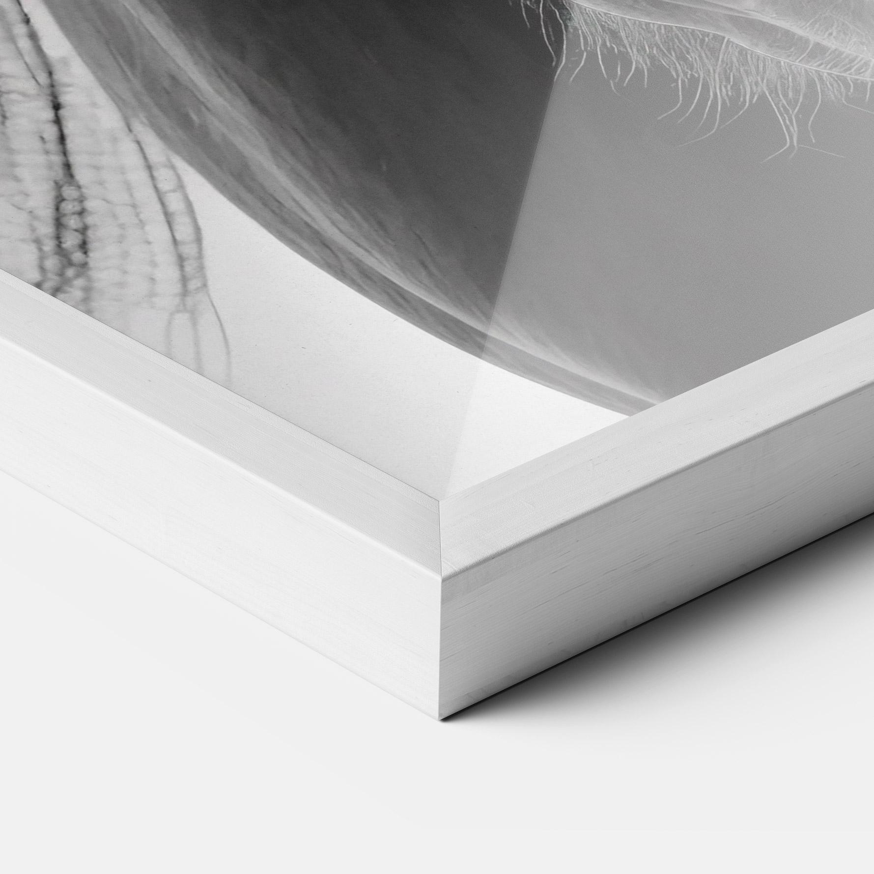 Plakat w Ramie Close Up Horse mockup 3