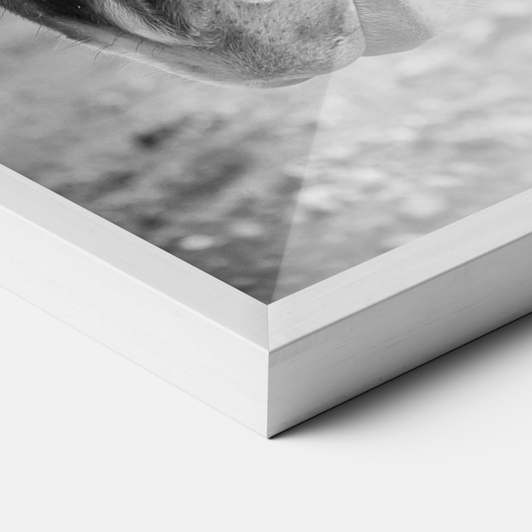 Plakat w Ramie Gray Horse Head mockup 3