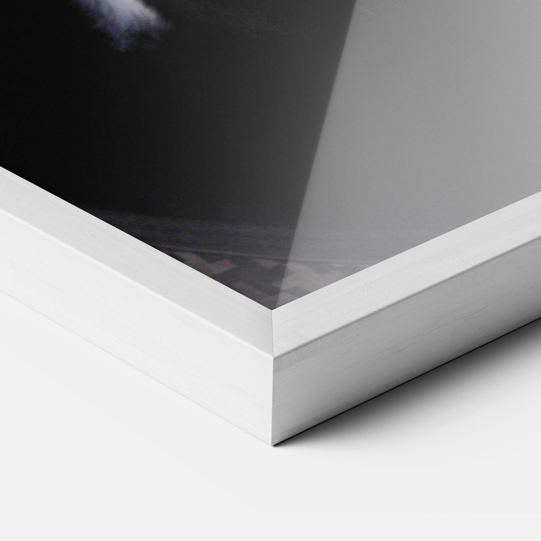 Plakat w Ramie Horse Black Portrait mockup 3