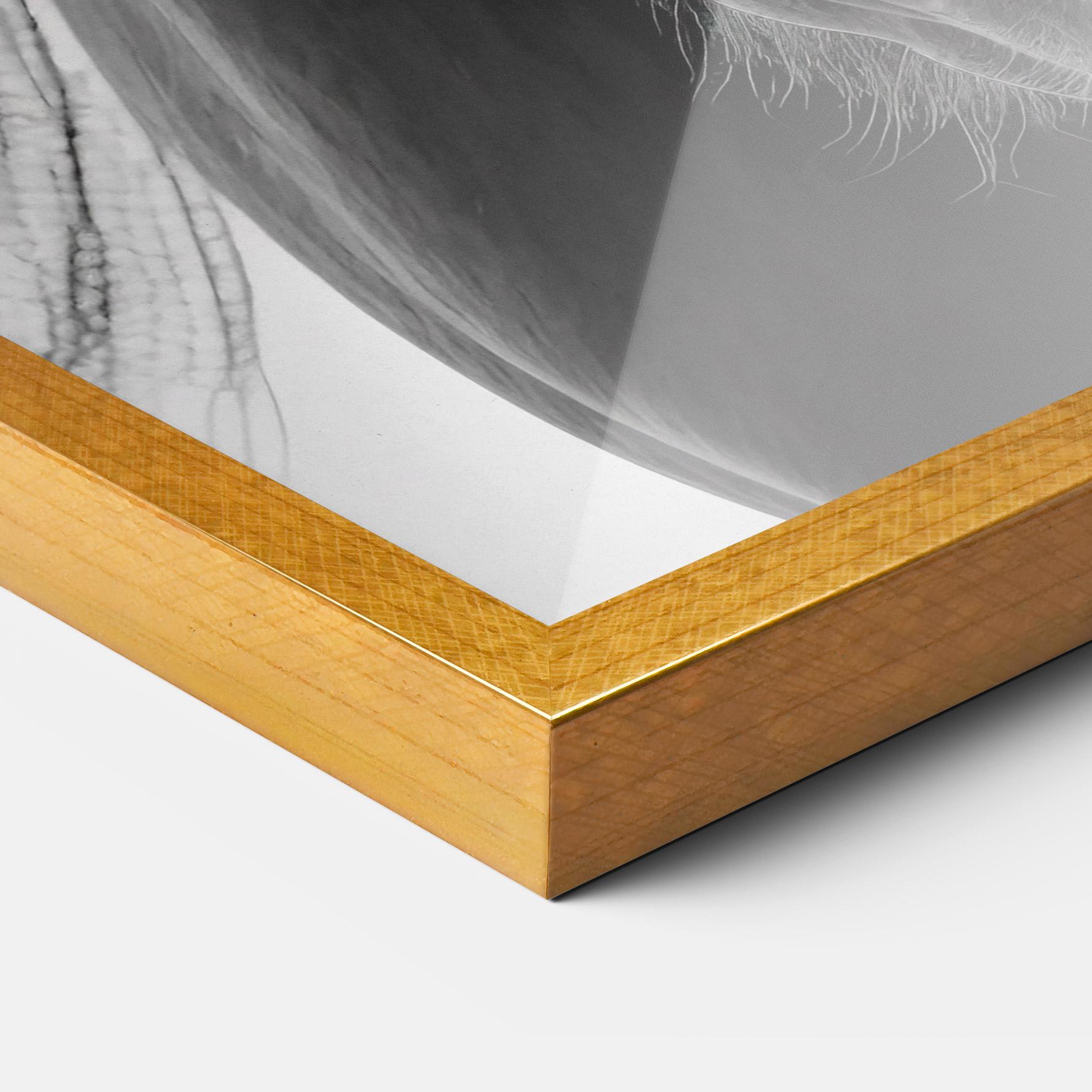 Plakat w Ramie Close Up Horse mockup 3