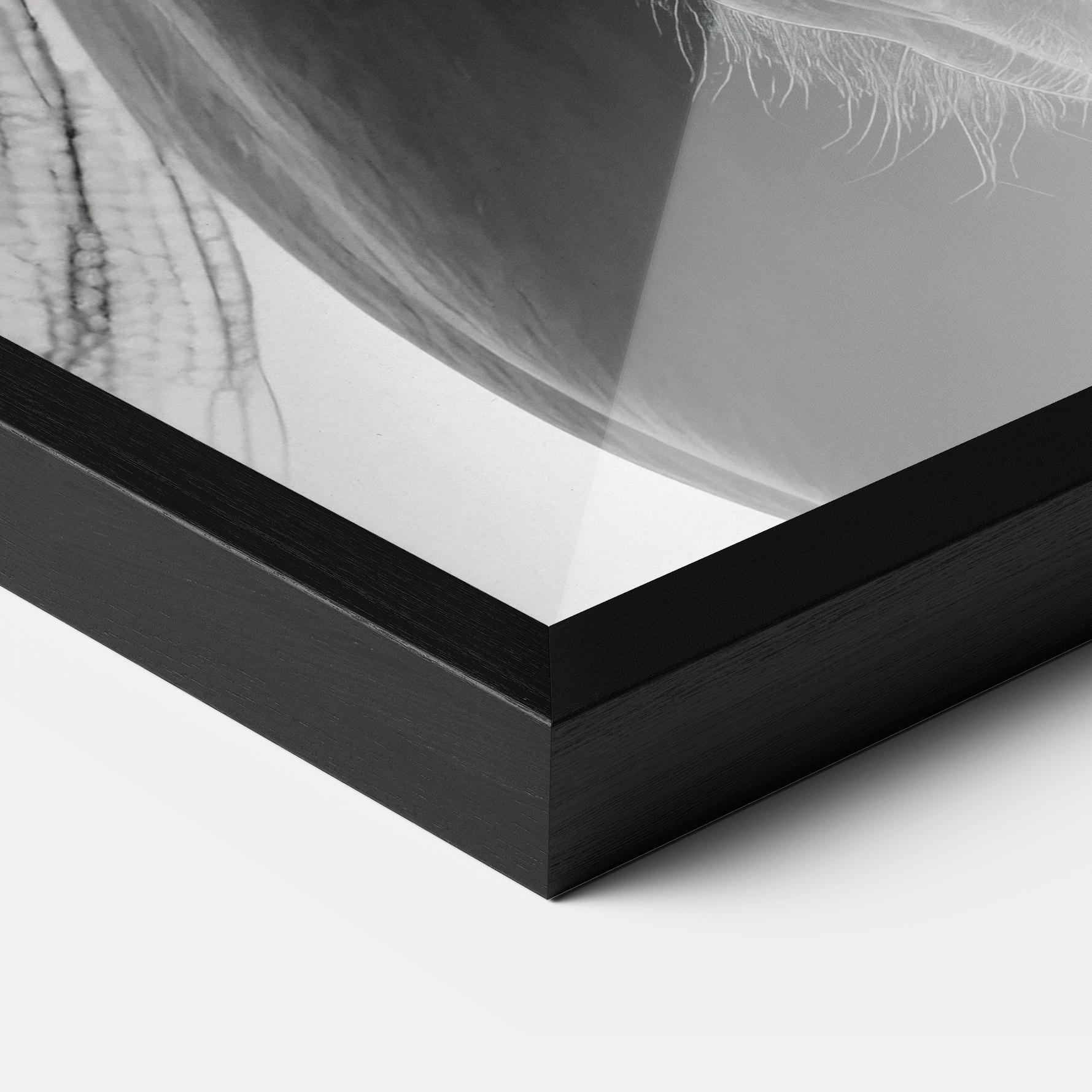 Plakat w Ramie Close Up Horse mockup 3