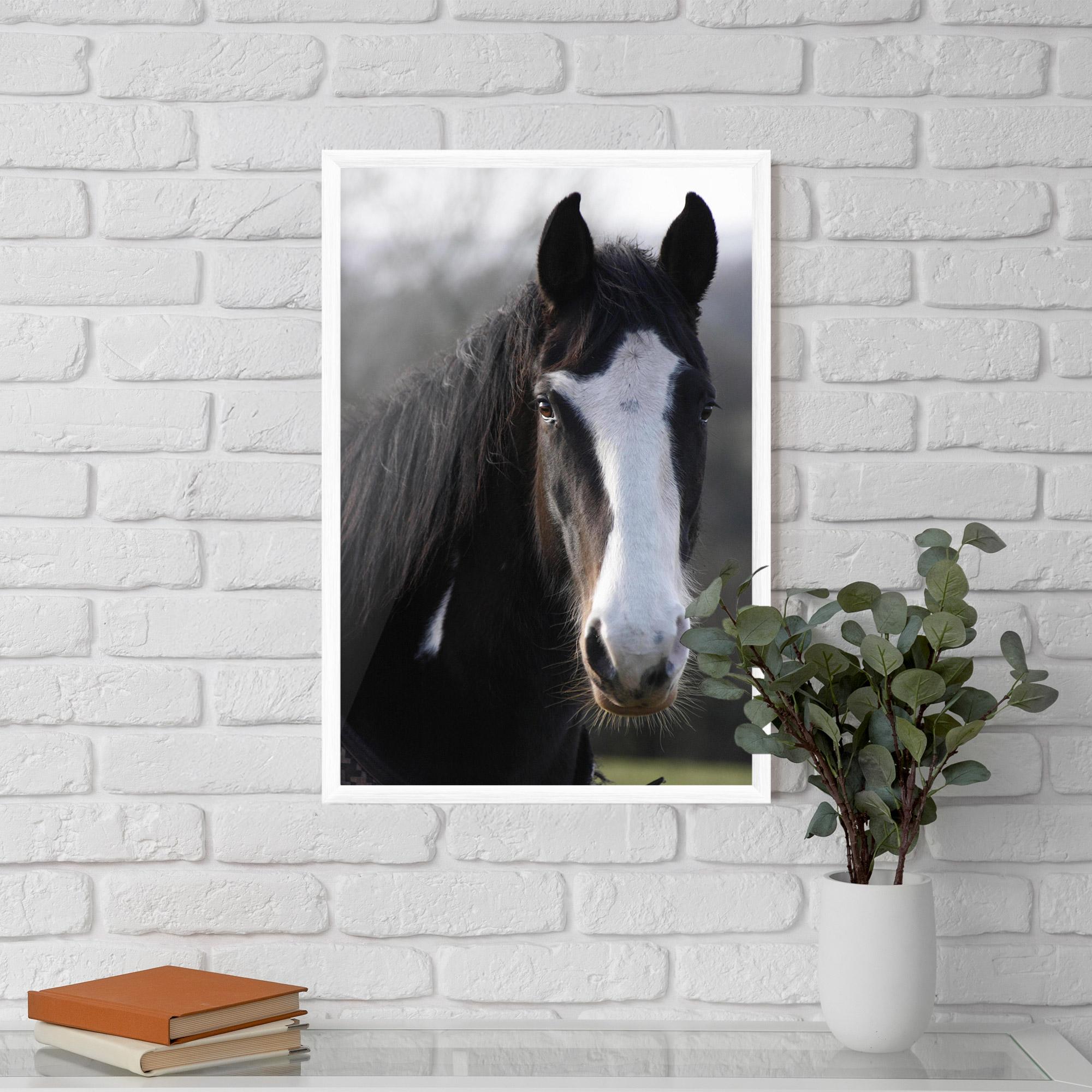 Plakat w Ramie Horse Black Portrait mockup 5