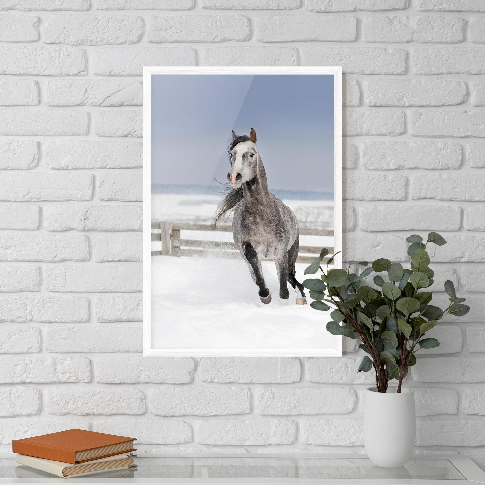 Plakat w Ramie Horse Running Free mockup 5