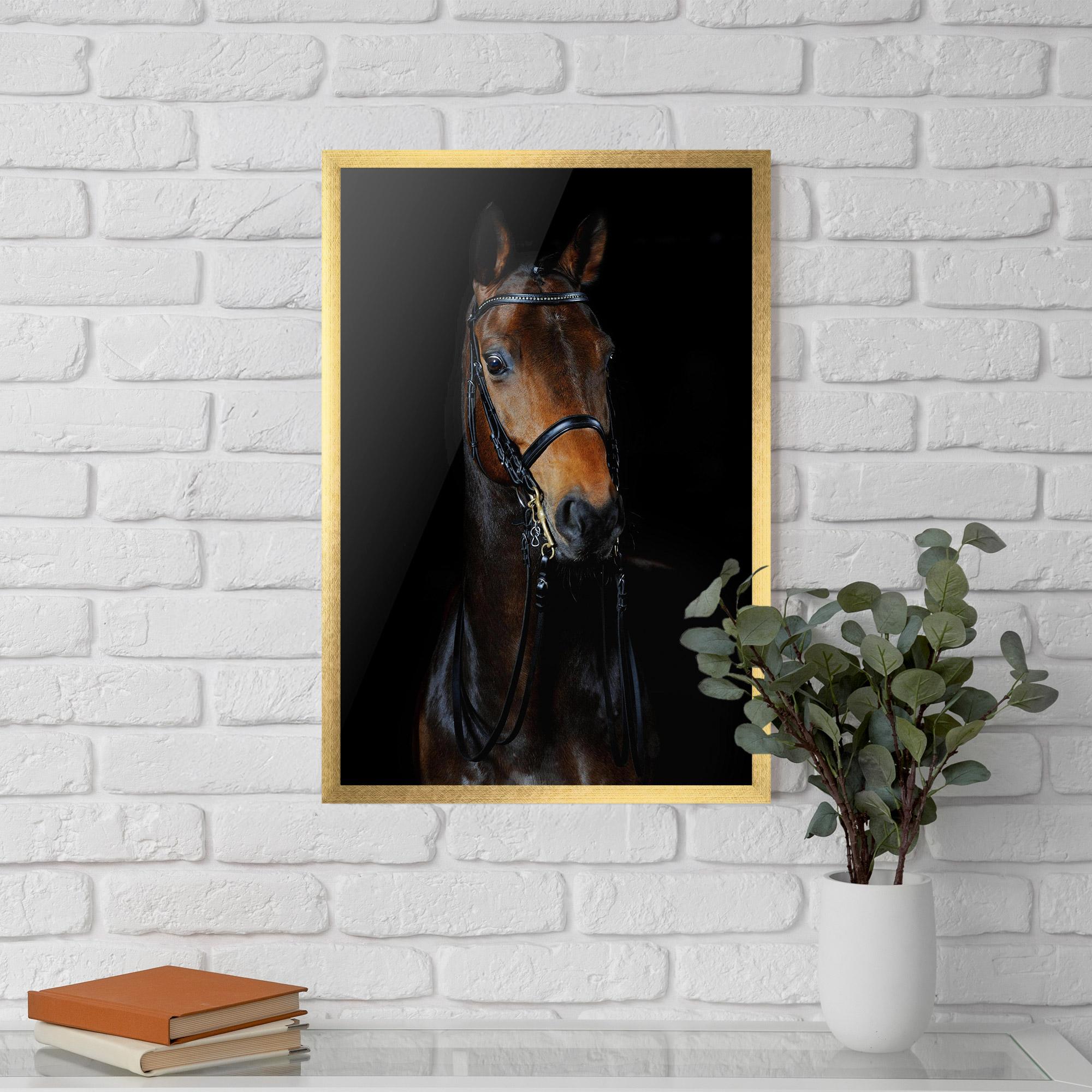 Plakat w Ramie Brown Horse On Black mockup 5