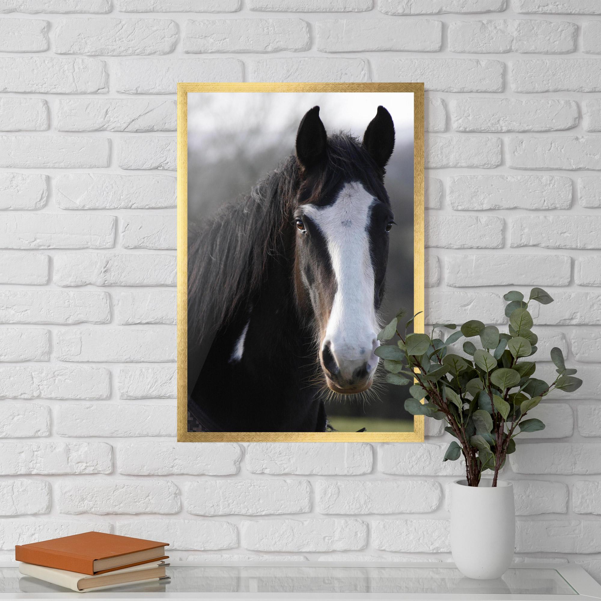 Plakat w Ramie Horse Black Portrait mockup 5