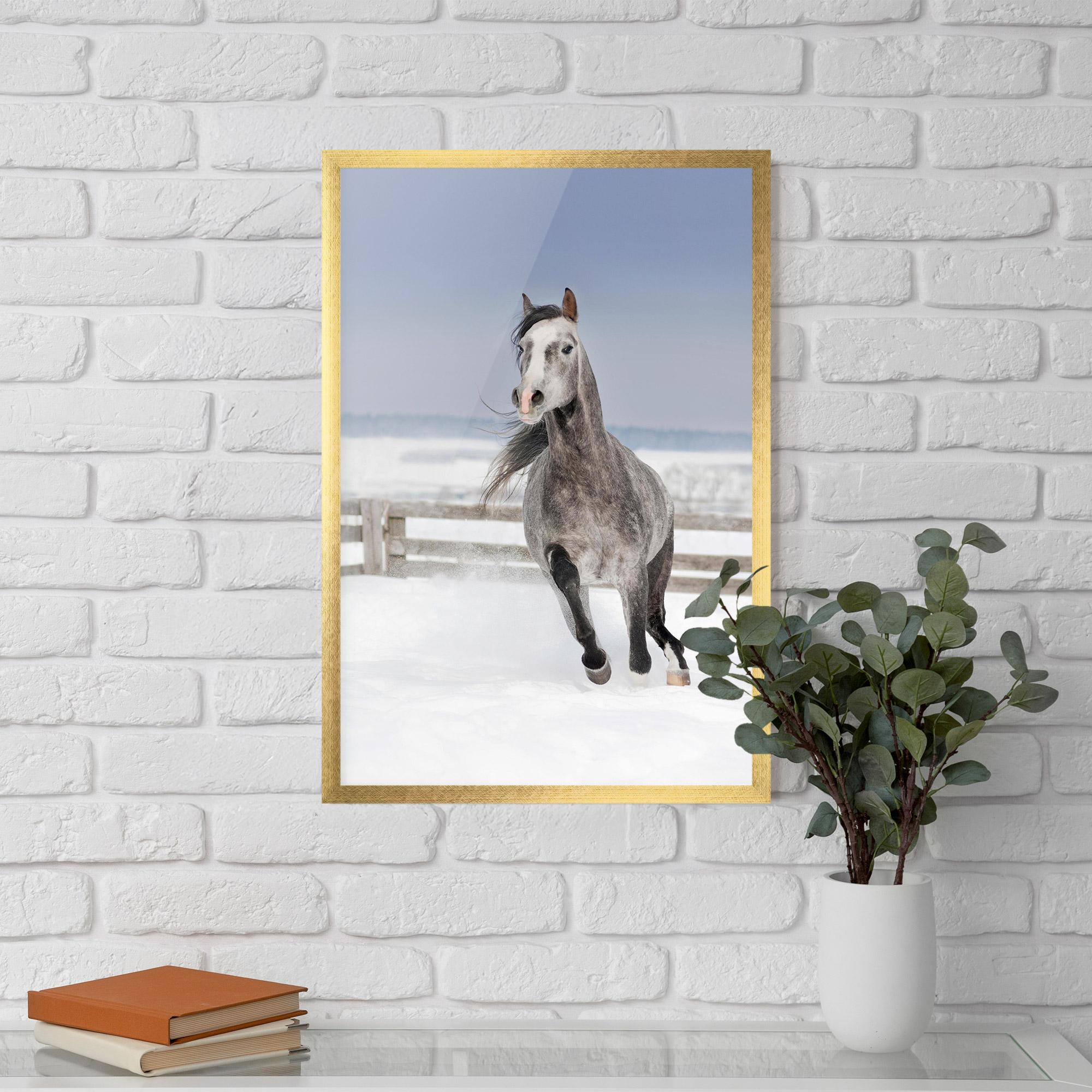 Plakat w Ramie Horse Running Free mockup 5