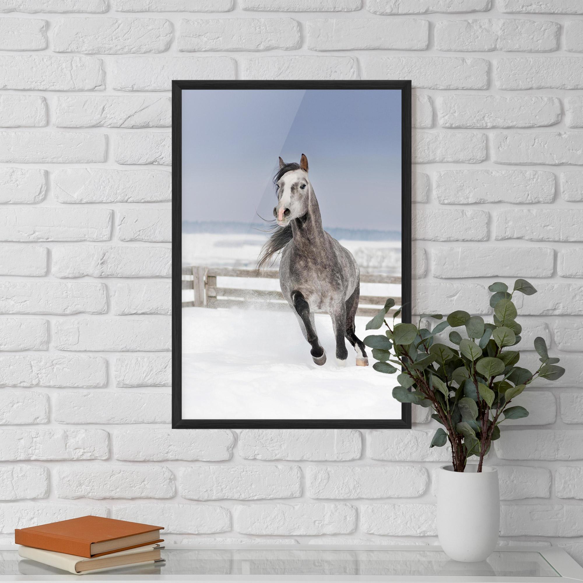 Plakat w Ramie Horse Running Free mockup 5