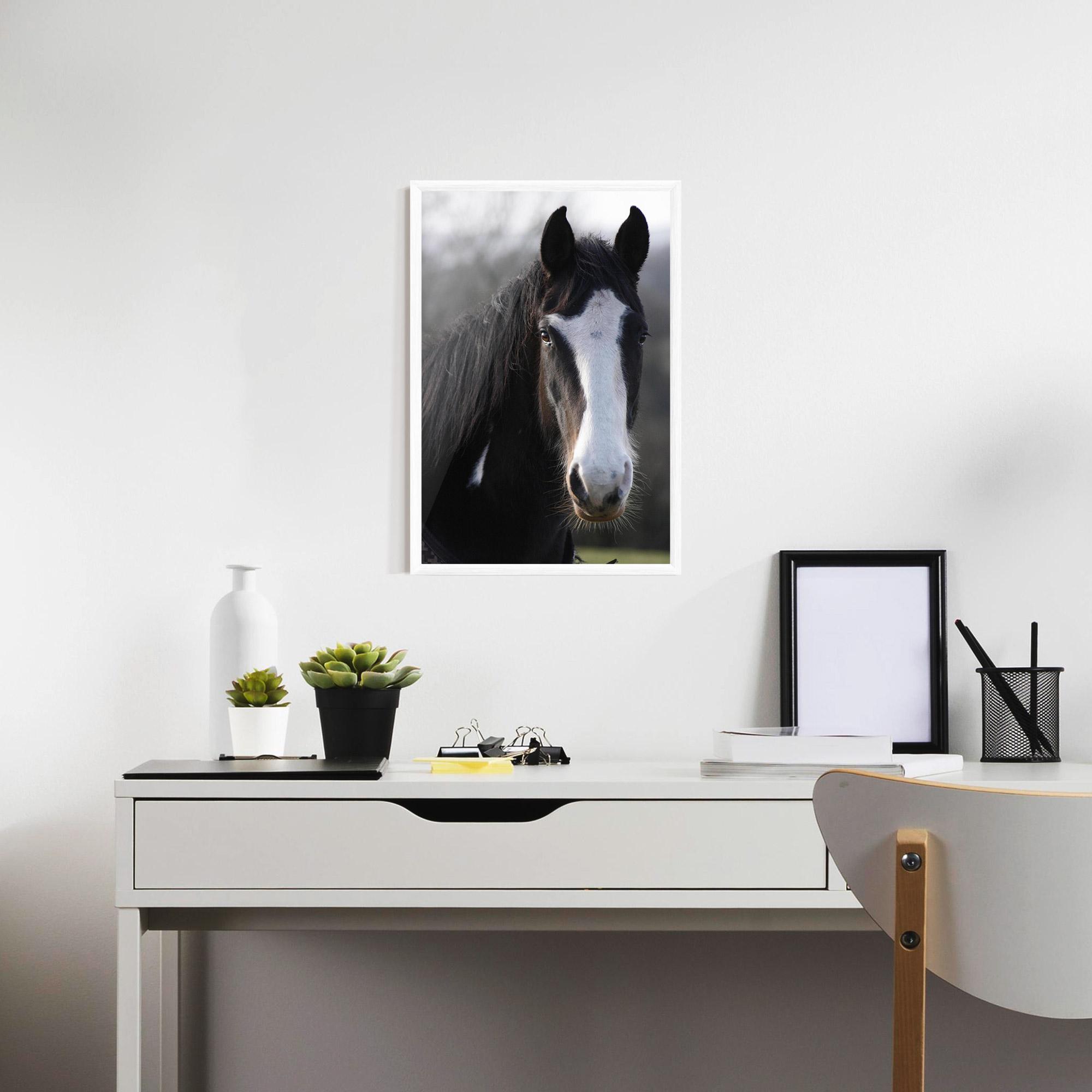Plakat w Ramie Horse Black Portrait mockup 7