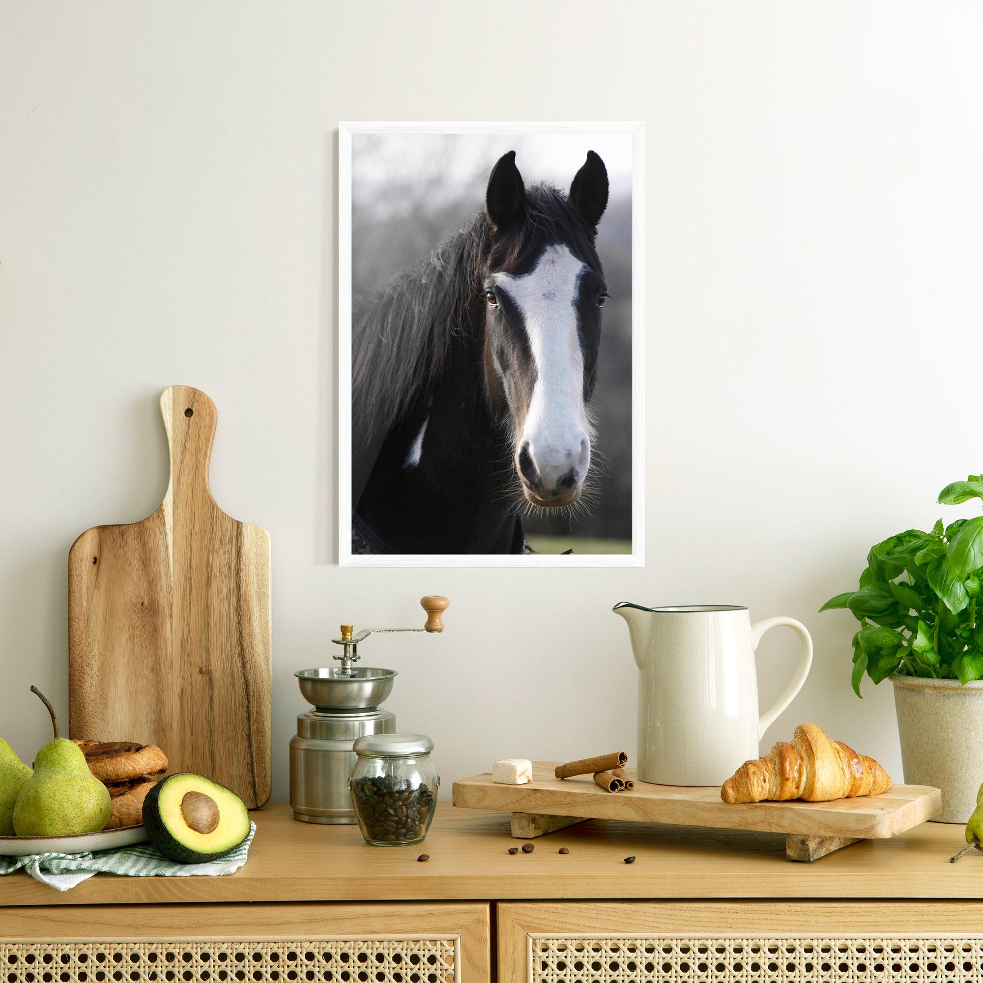 Plakat w Ramie Horse Black Portrait mockup 8