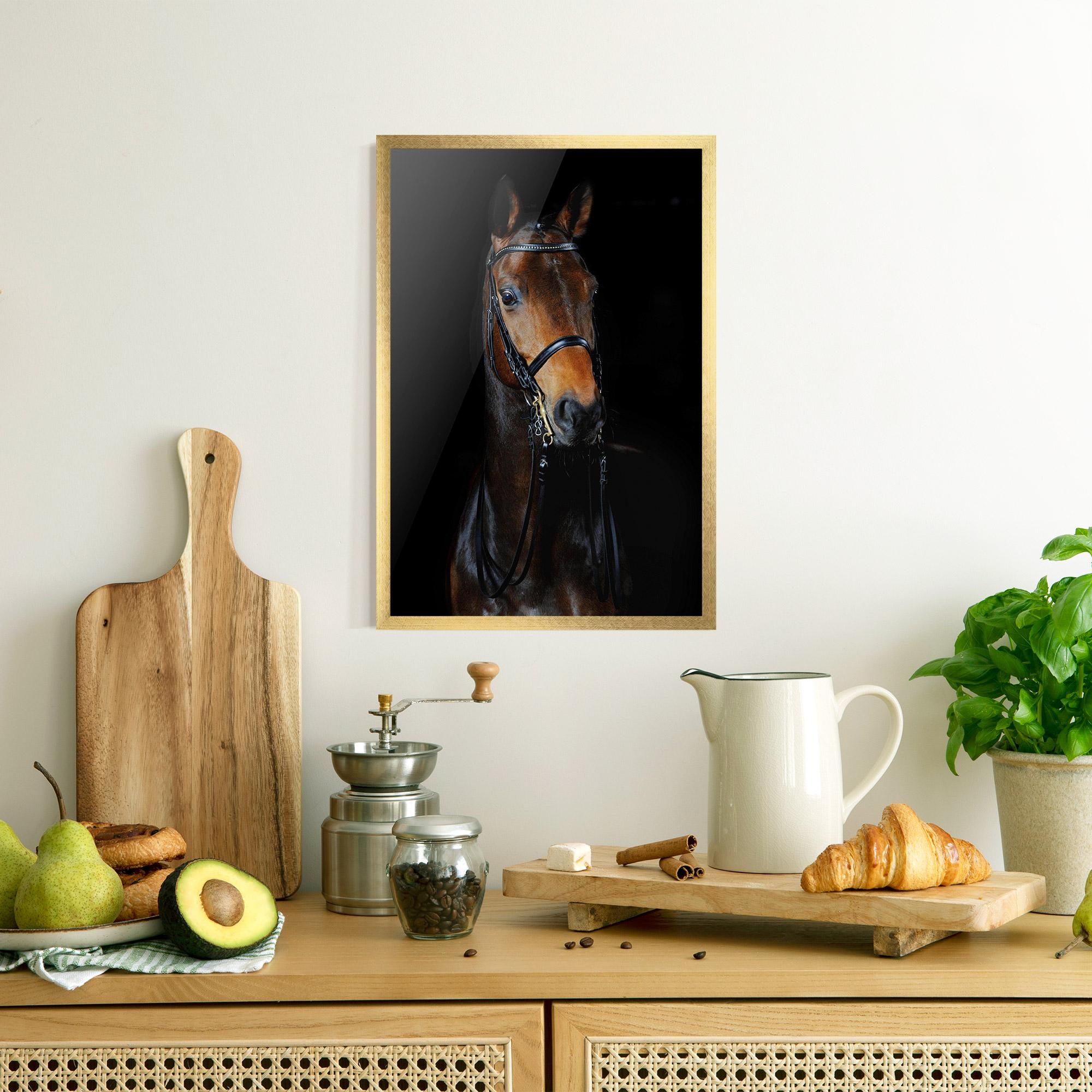 Plakat w Ramie Brown Horse On Black mockup 8
