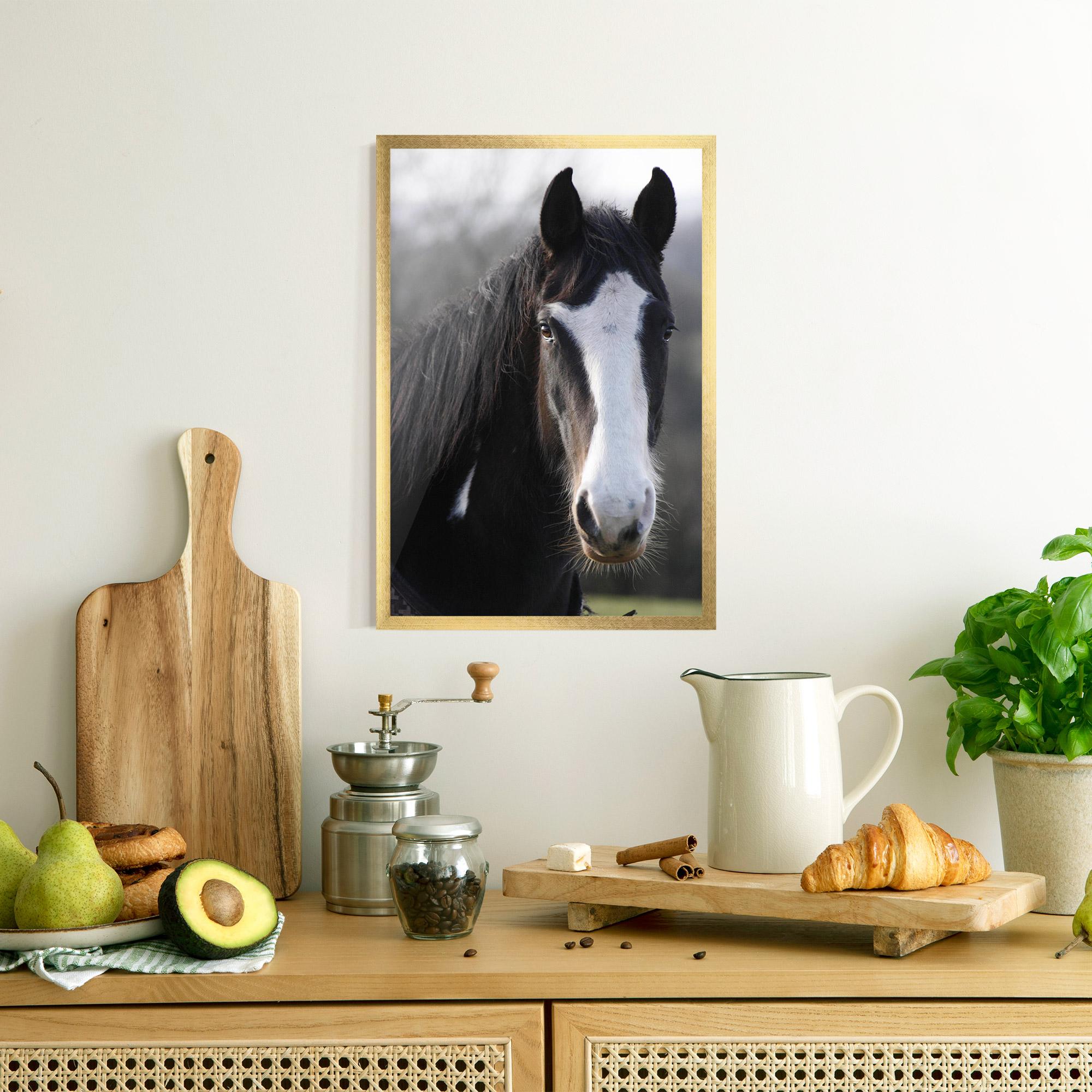 Plakat w Ramie Horse Black Portrait mockup 8