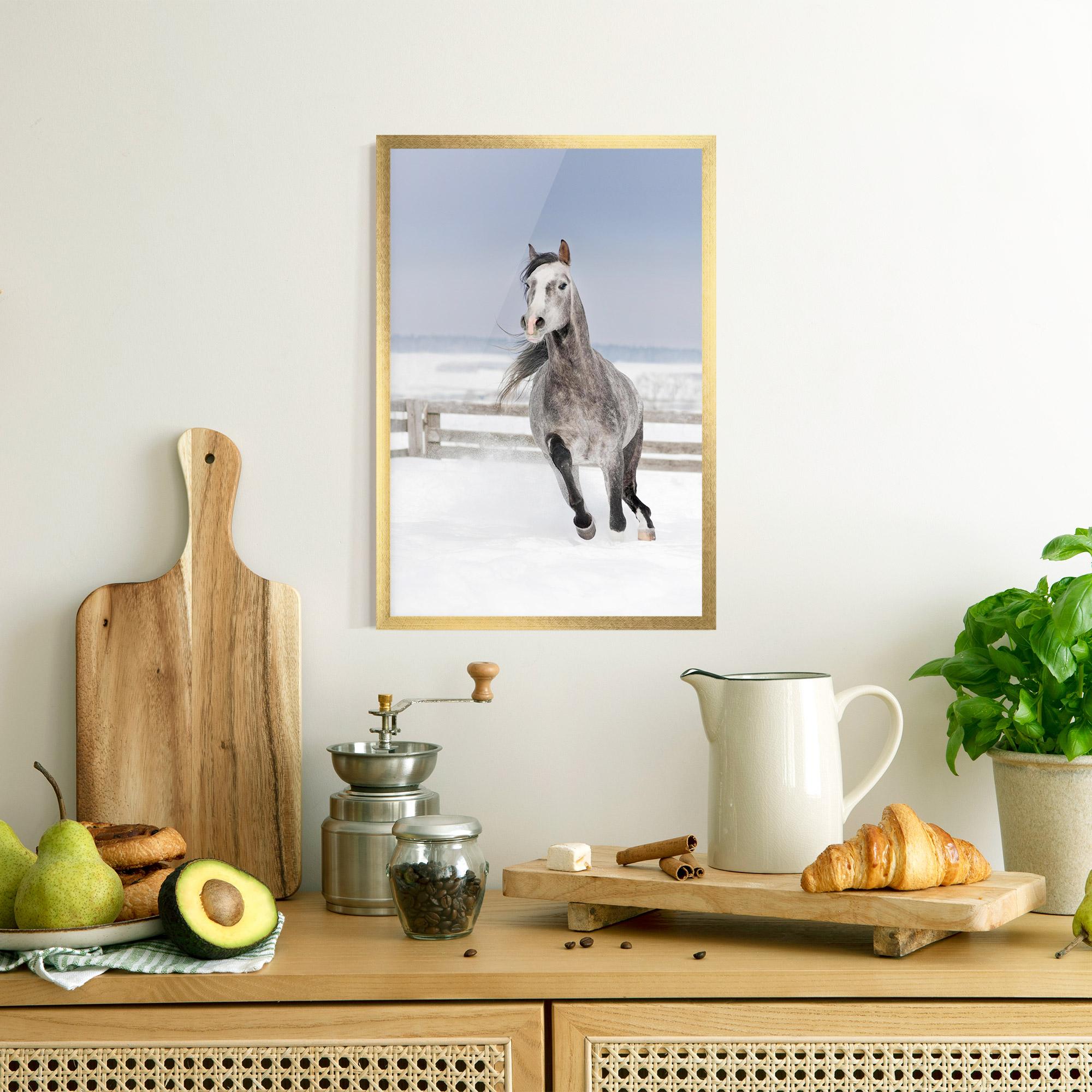 Plakat w Ramie Horse Running Free mockup 8