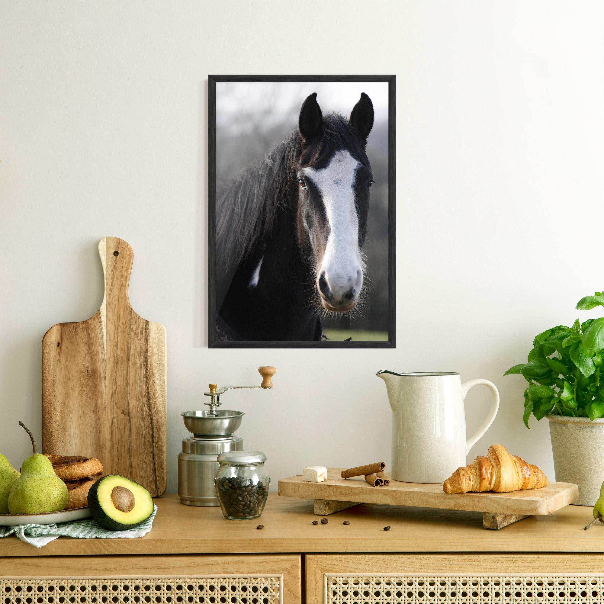 Plakat w Ramie Horse Black Portrait mockup 8