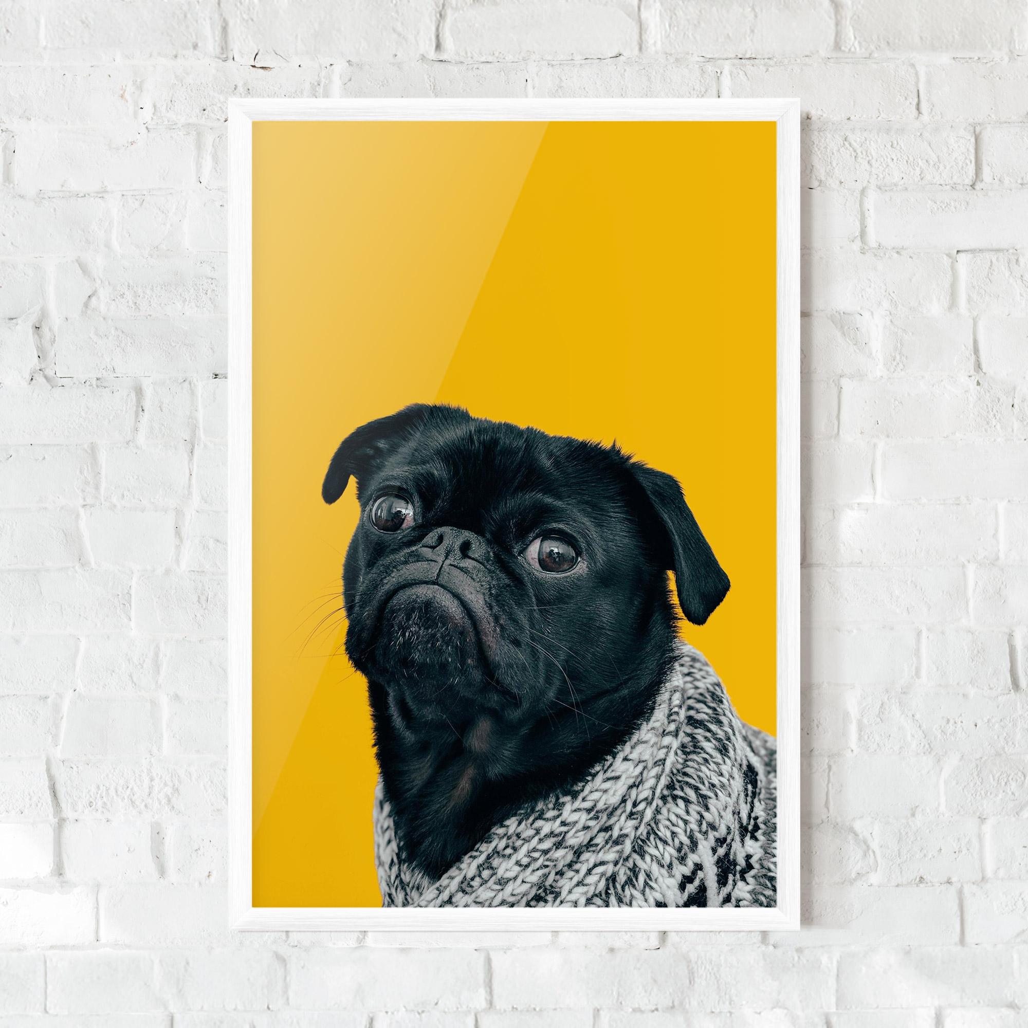 Plakat w Ramie Black Pug mockup 0