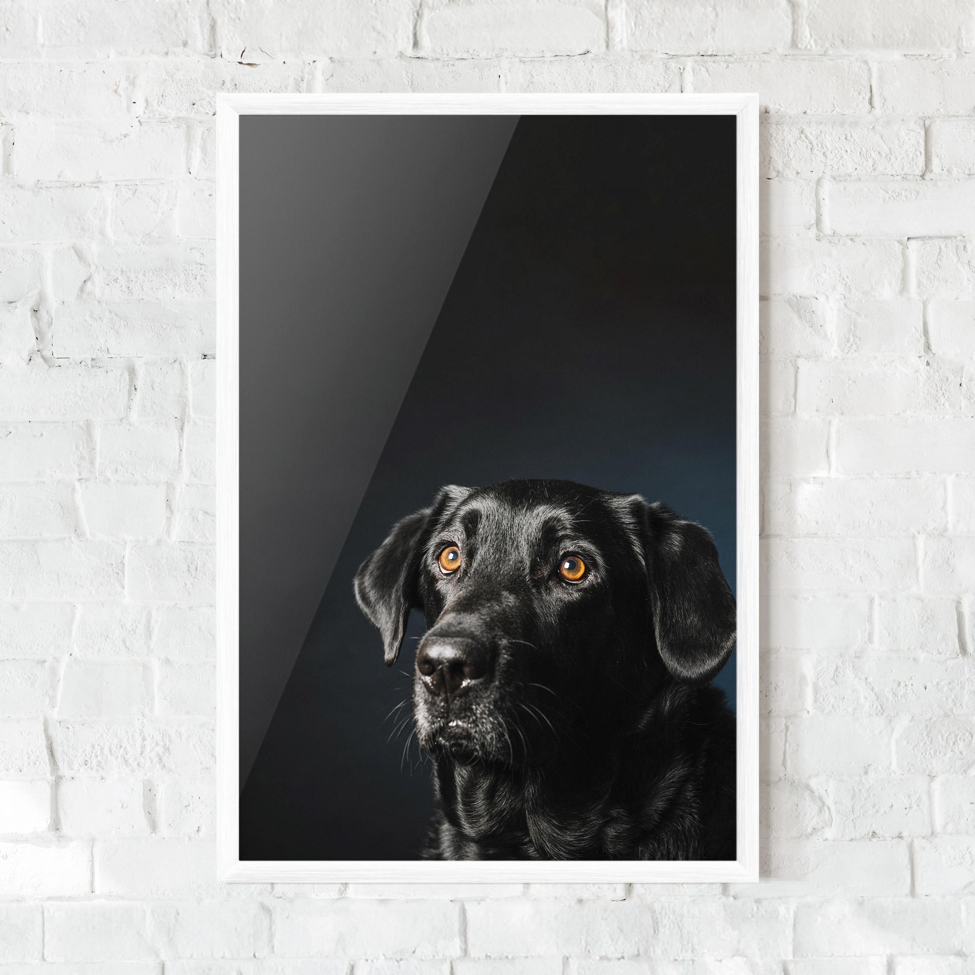 Plakat w Ramie Brown Eyes Dog mockup 0