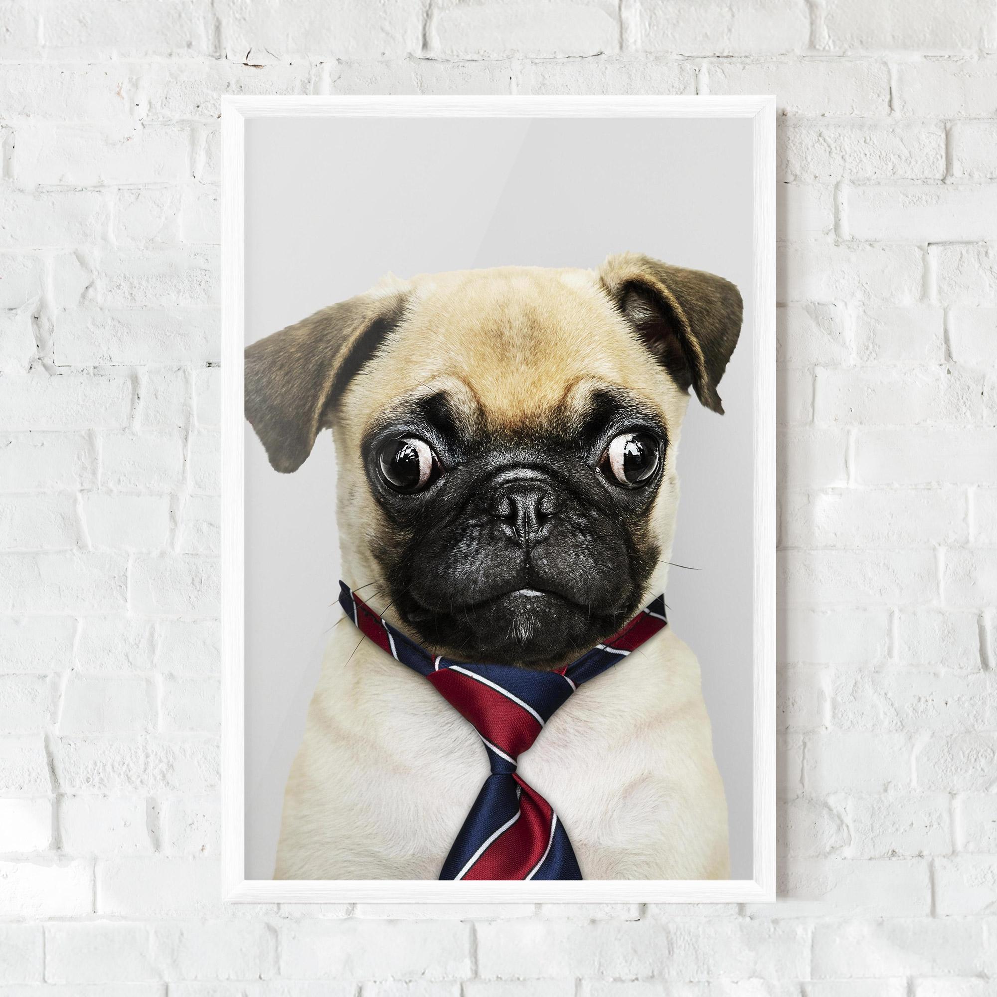 Plakat w Ramie Business Pug mockup 0