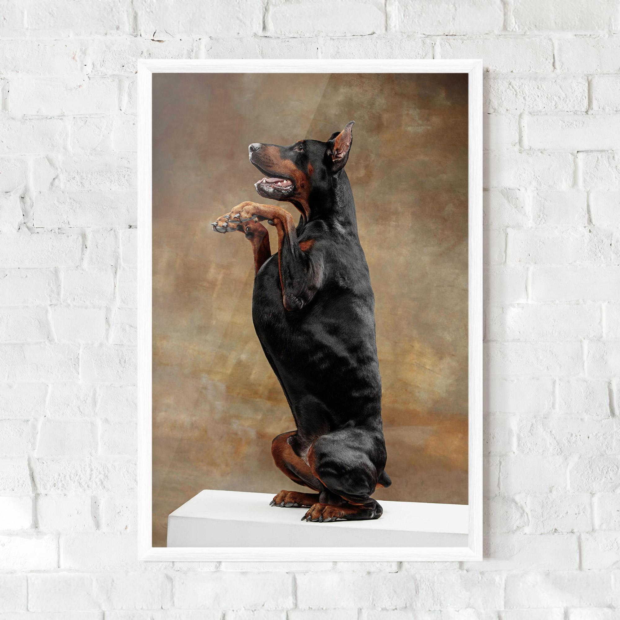 Plakat w Ramie Doberman Standing mockup 0