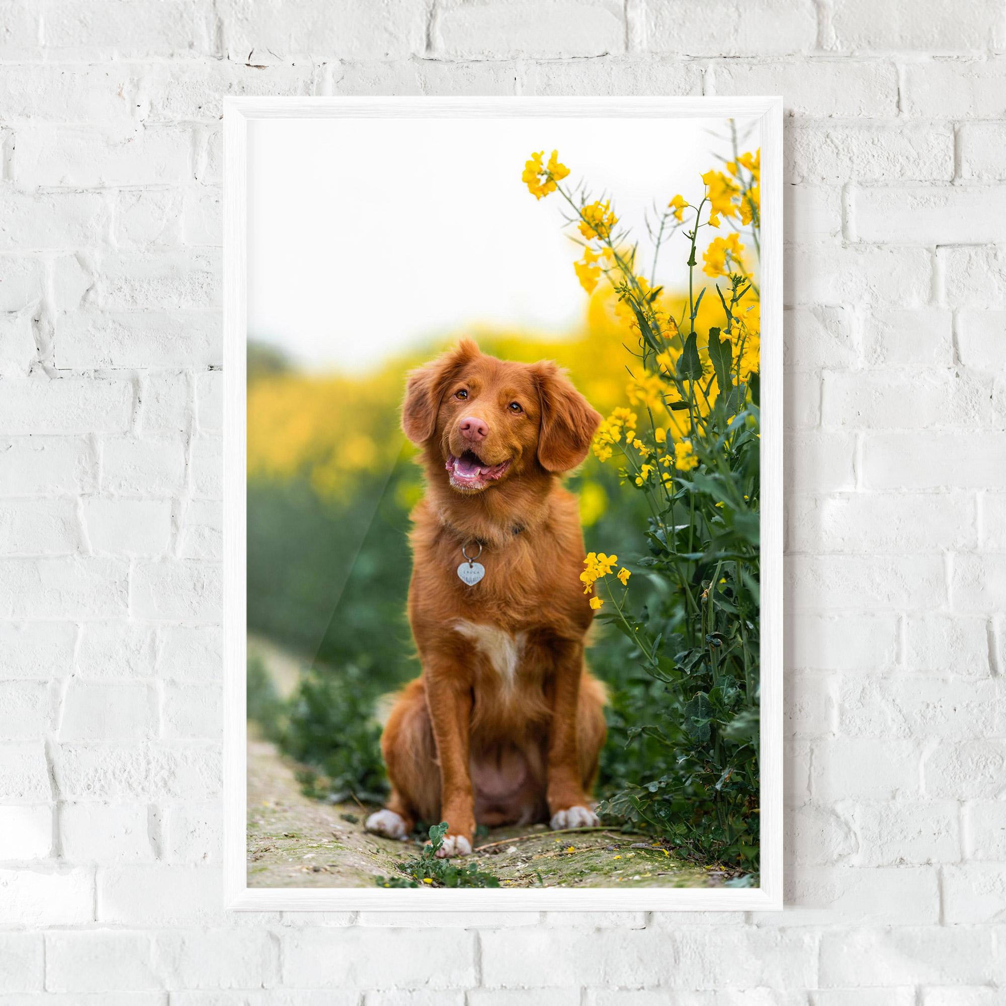 Plakat w Ramie Dog Yellow Flowers mockup 0