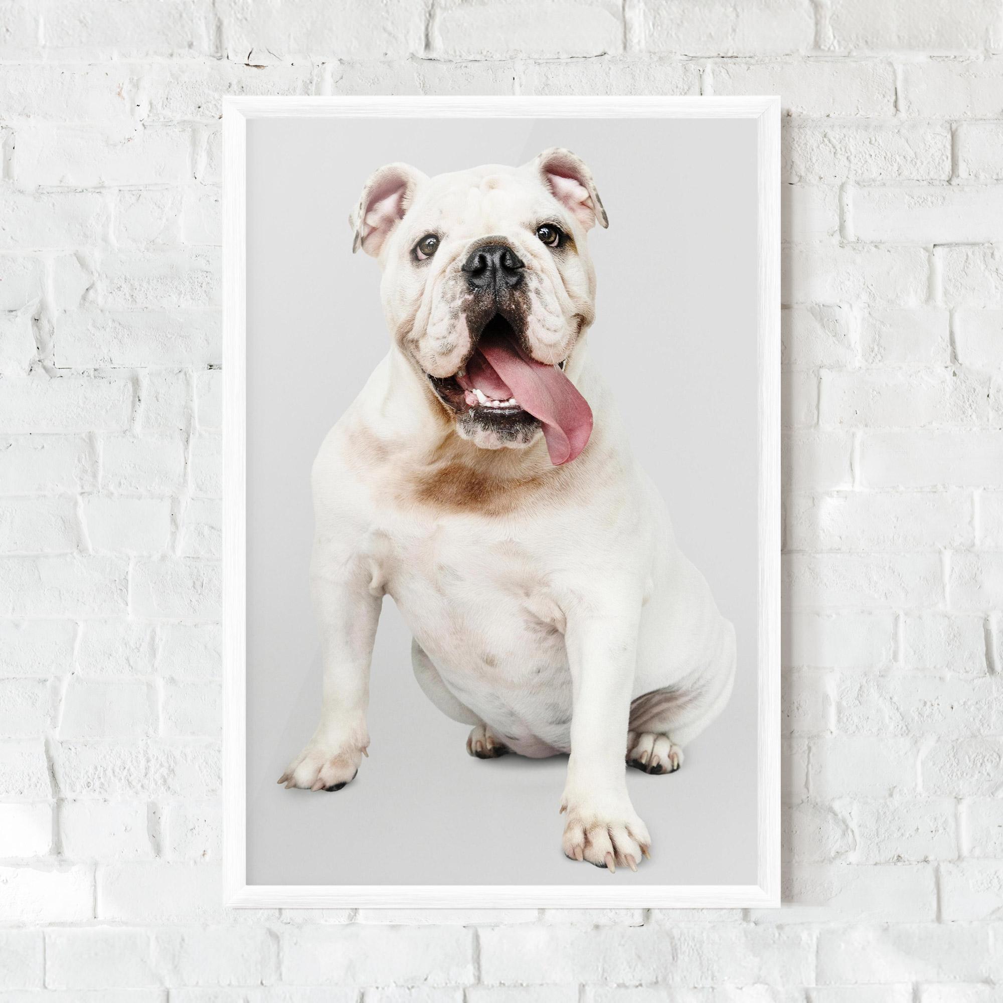 Plakat w Ramie Happy White Dog mockup 0