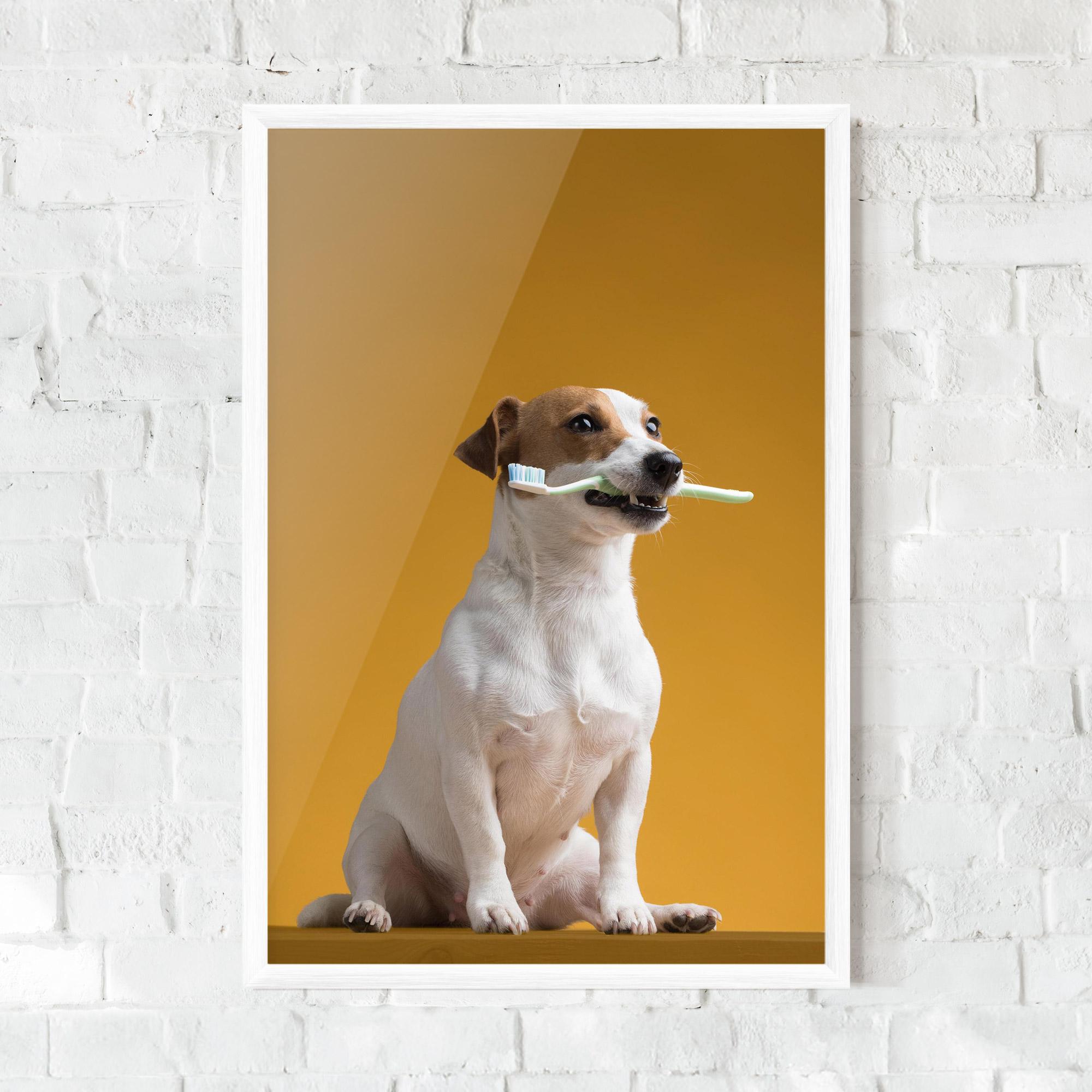 Plakat w Ramie Toothbrush Dog mockup 0