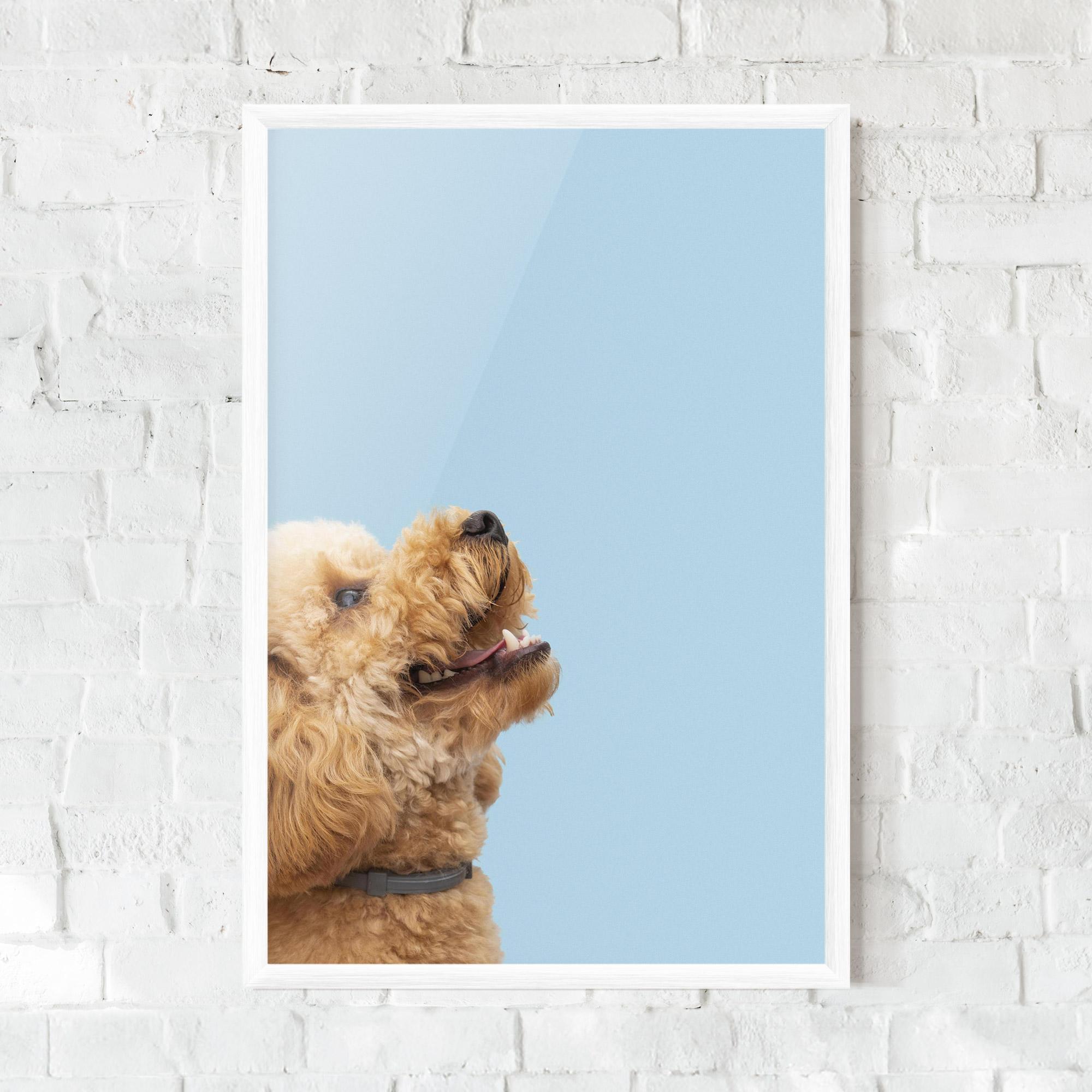 Plakat w Ramie Yellow Cute Dog mockup 0