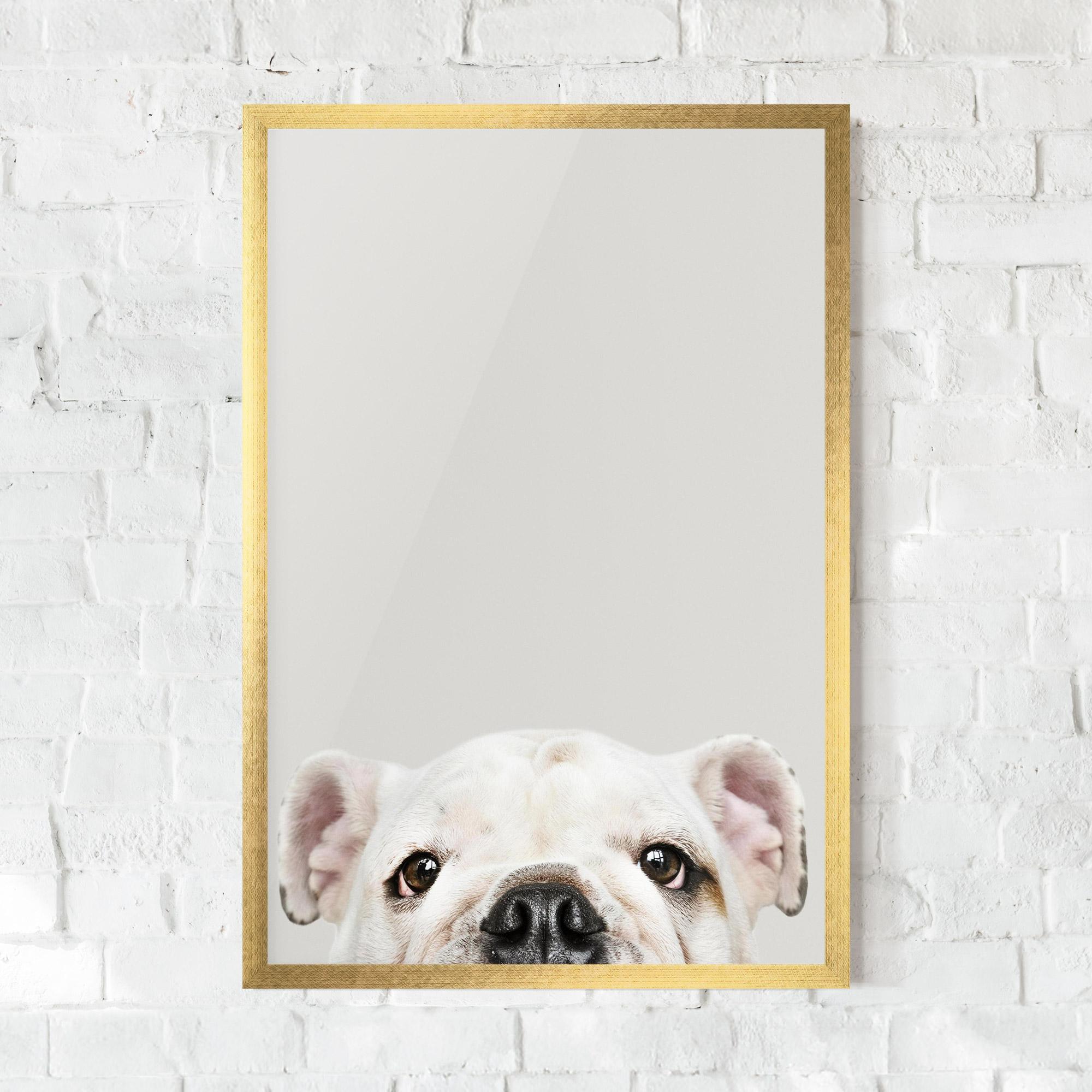 Plakat w Ramie Bulldog Eyes mockup 0