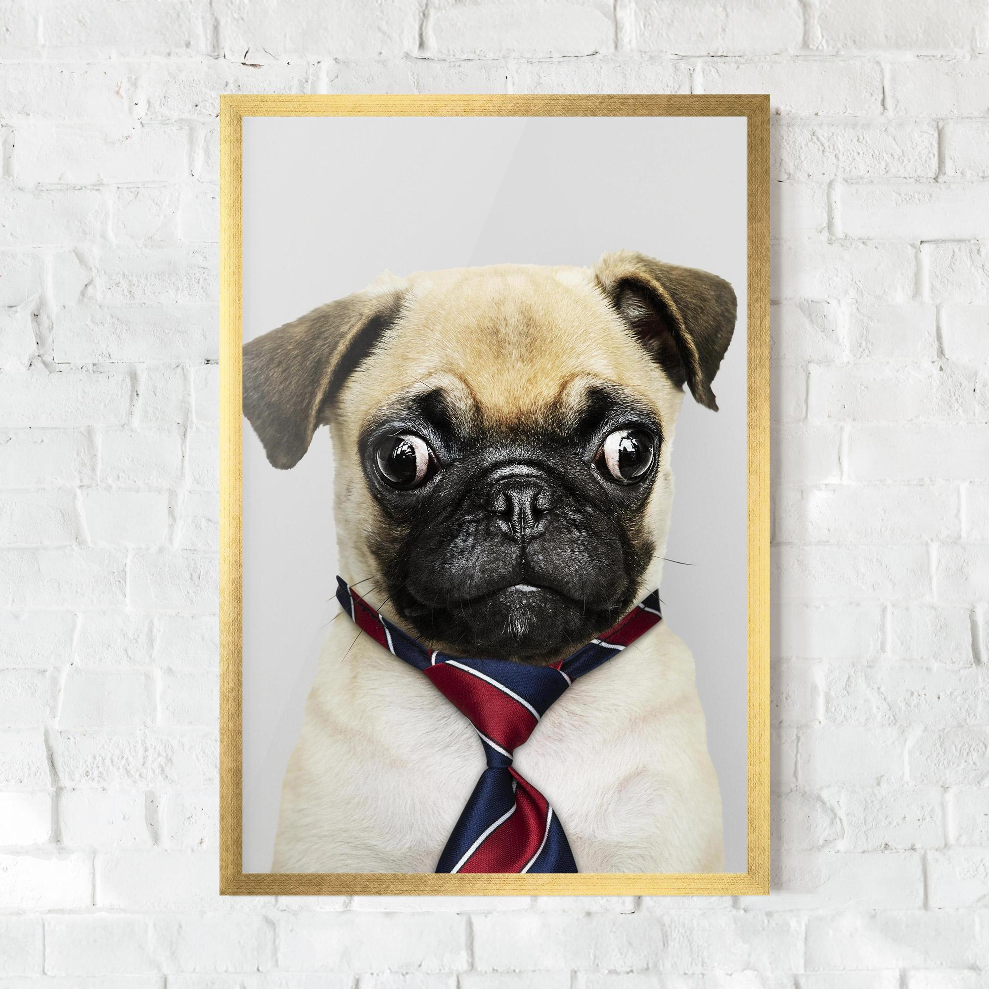 Plakat w Ramie Business Pug mockup 0