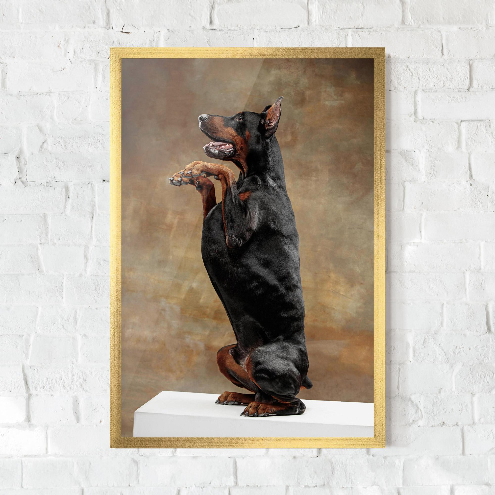 Plakat w Ramie Doberman Standing mockup 0