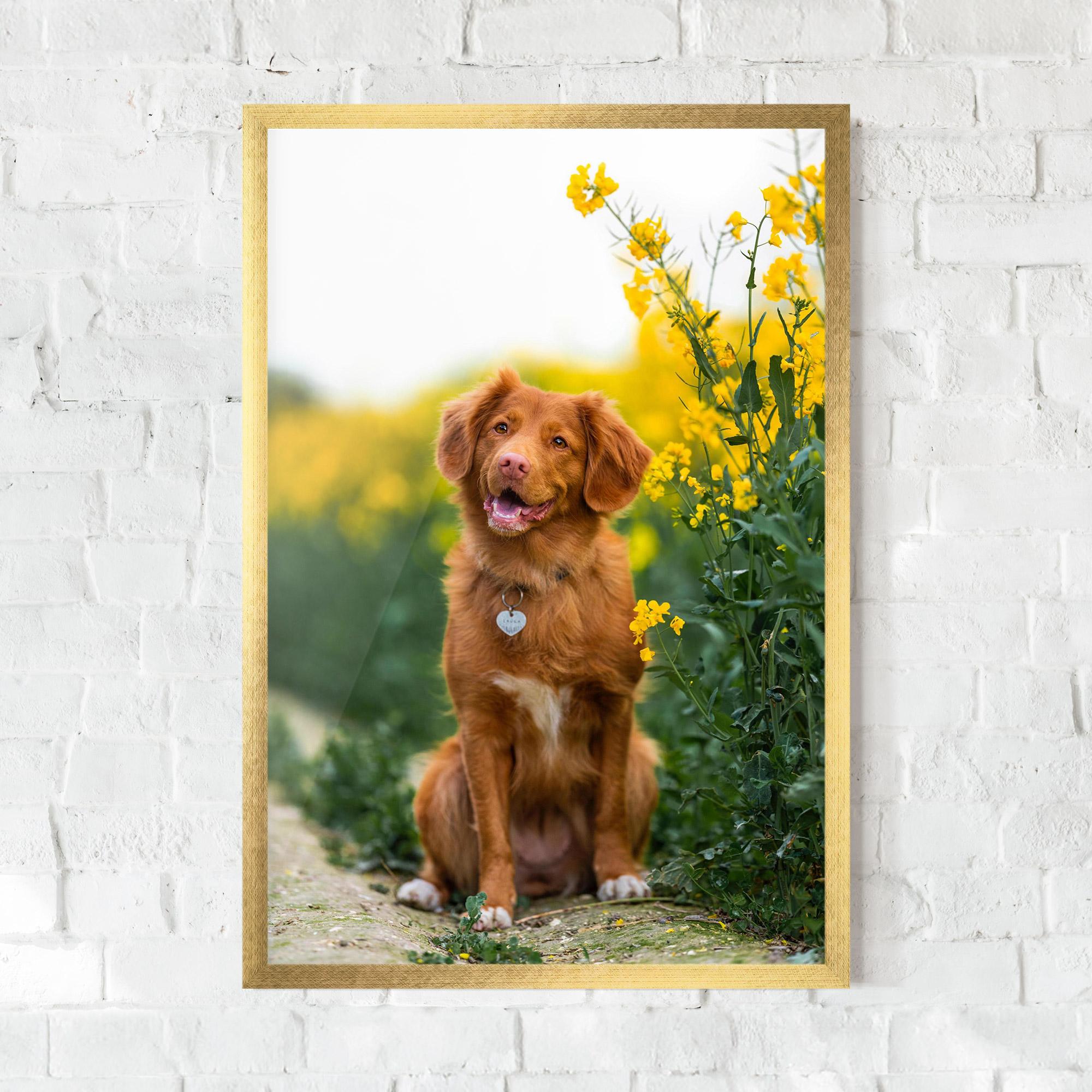 Plakat w Ramie Dog Yellow Flowers mockup 0