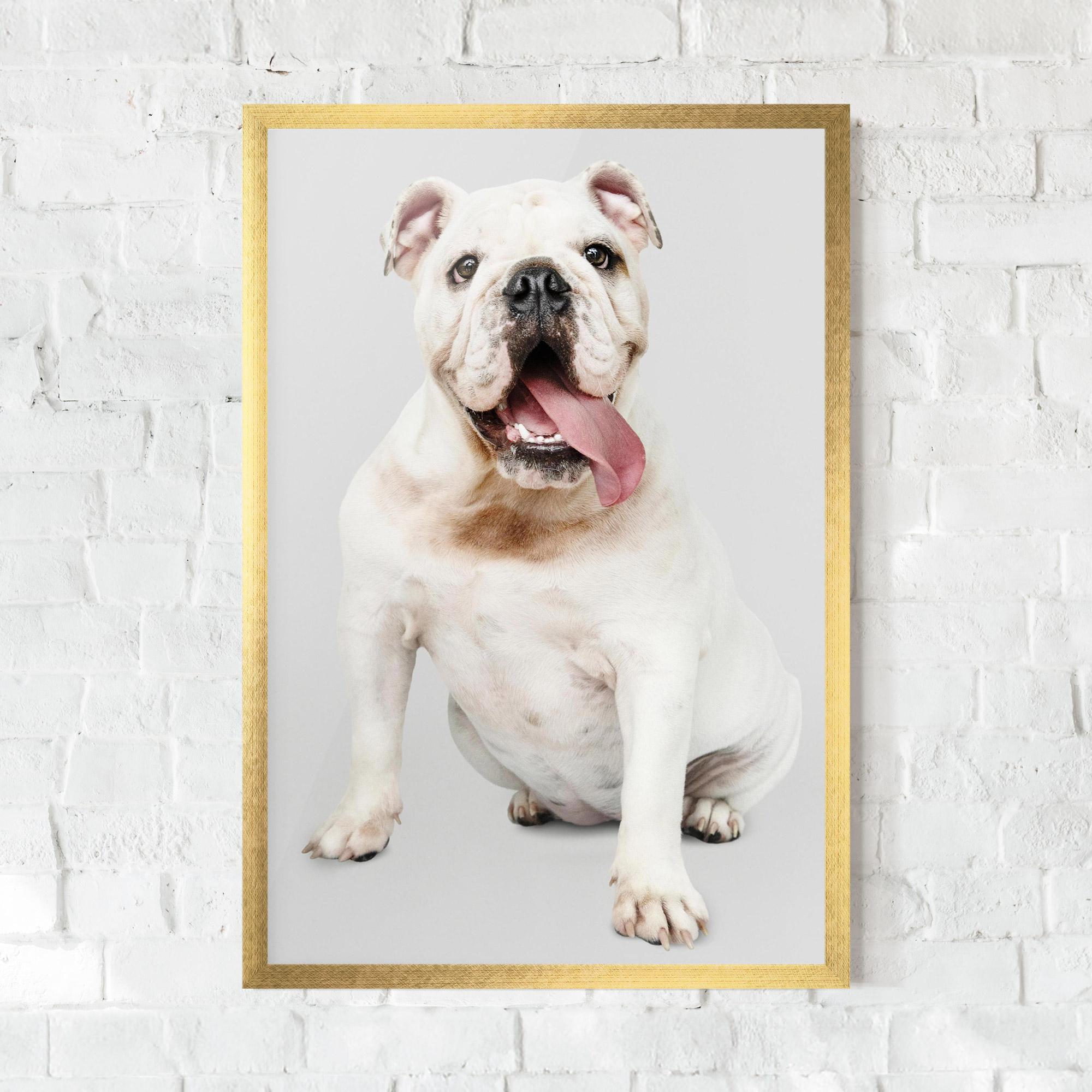 Plakat w Ramie Happy White Dog mockup 0