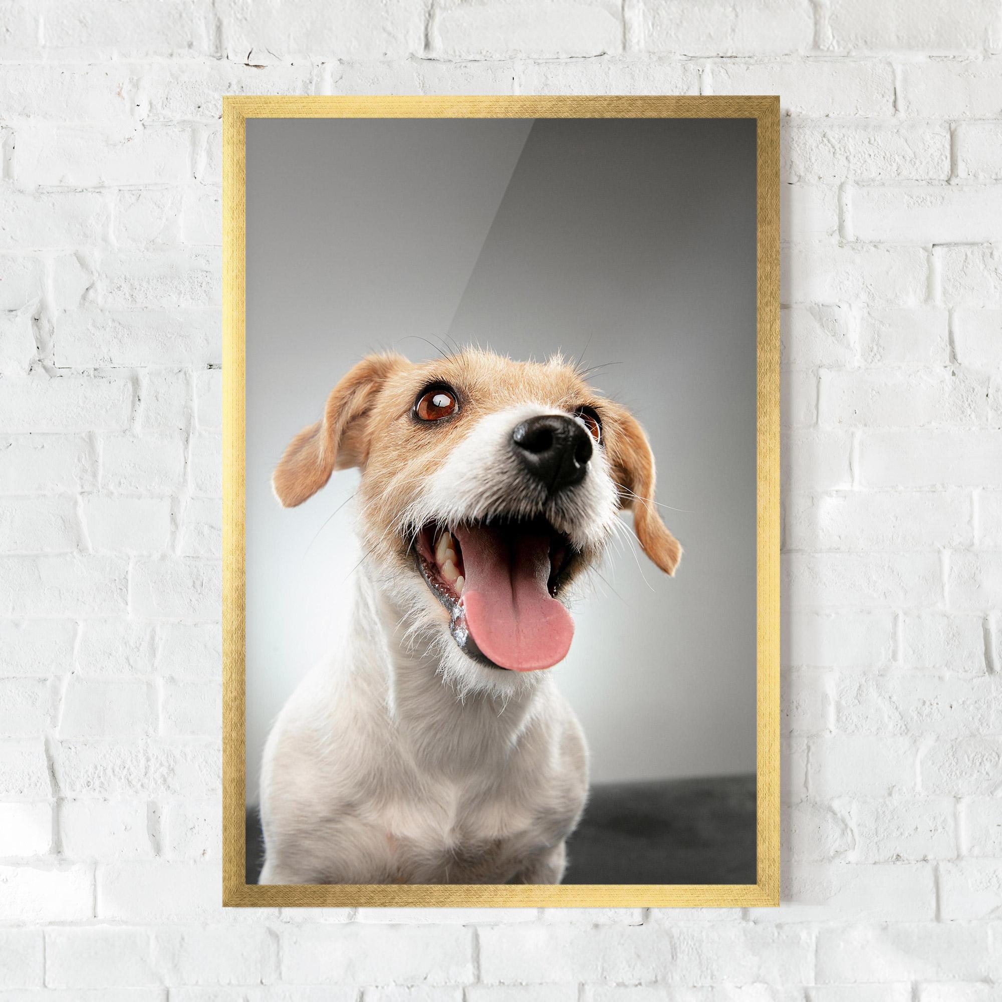 Plakat w Ramie Jack Russell Terrier mockup 0