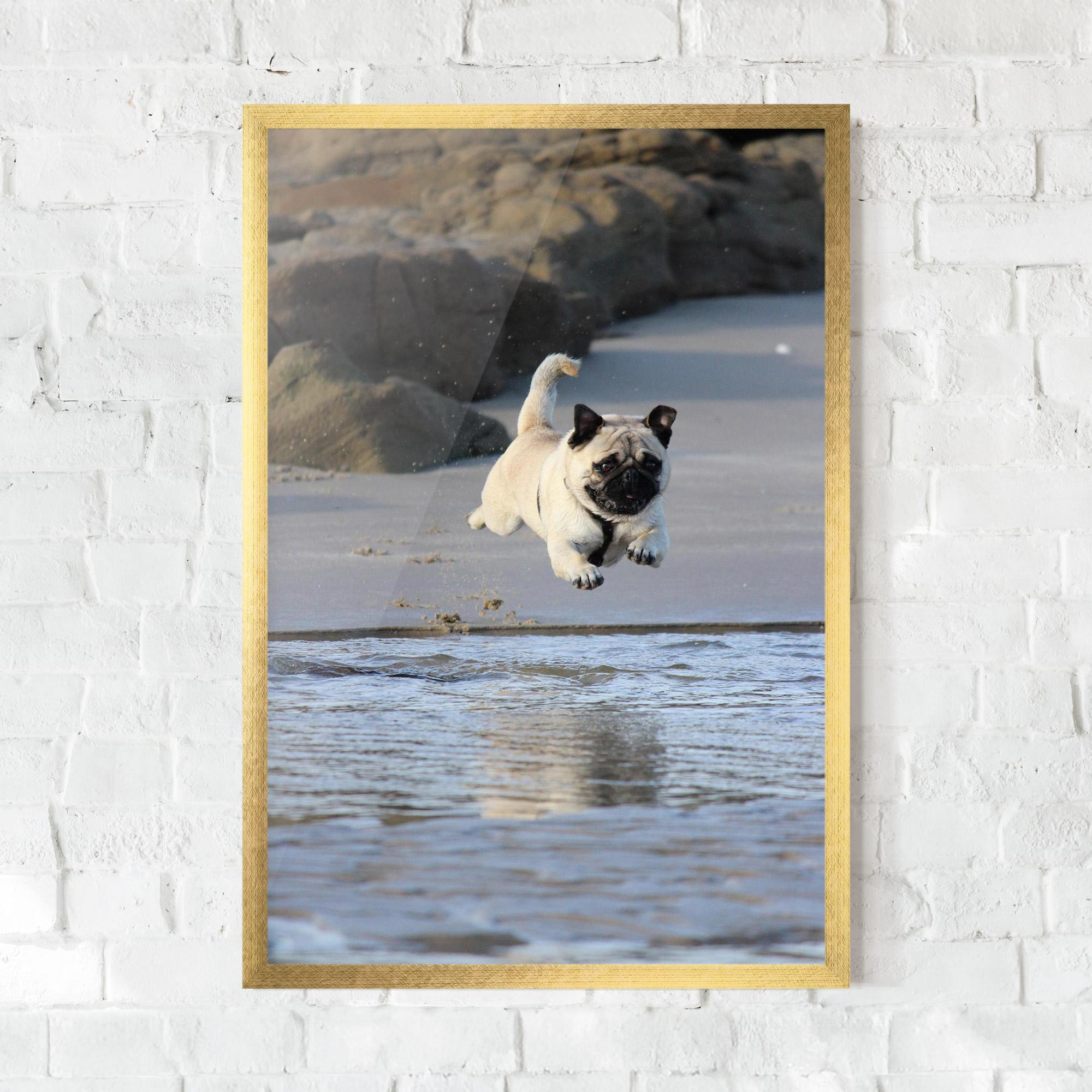 Plakat w Ramie Water Pug mockup 0
