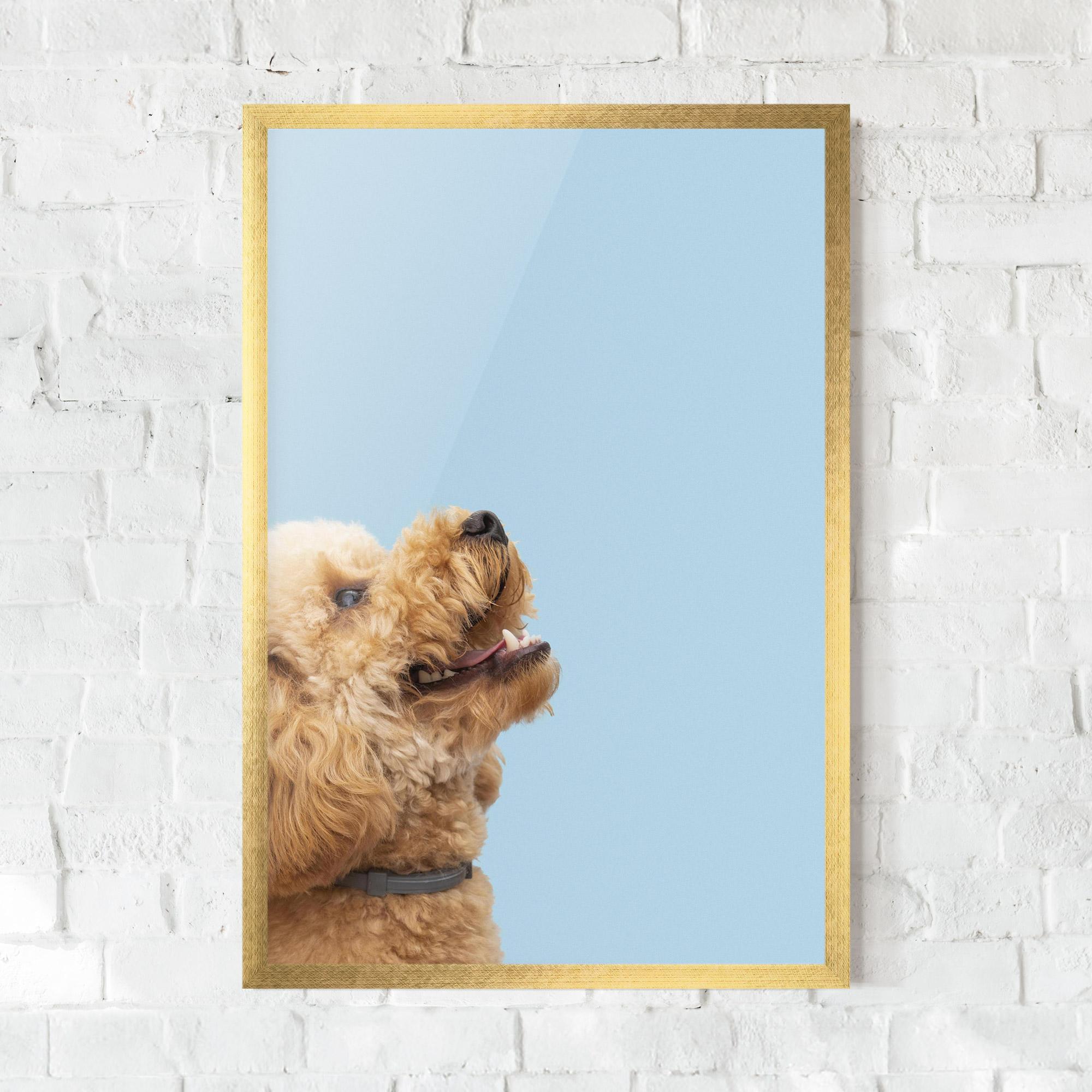 Plakat w Ramie Yellow Cute Dog mockup 0