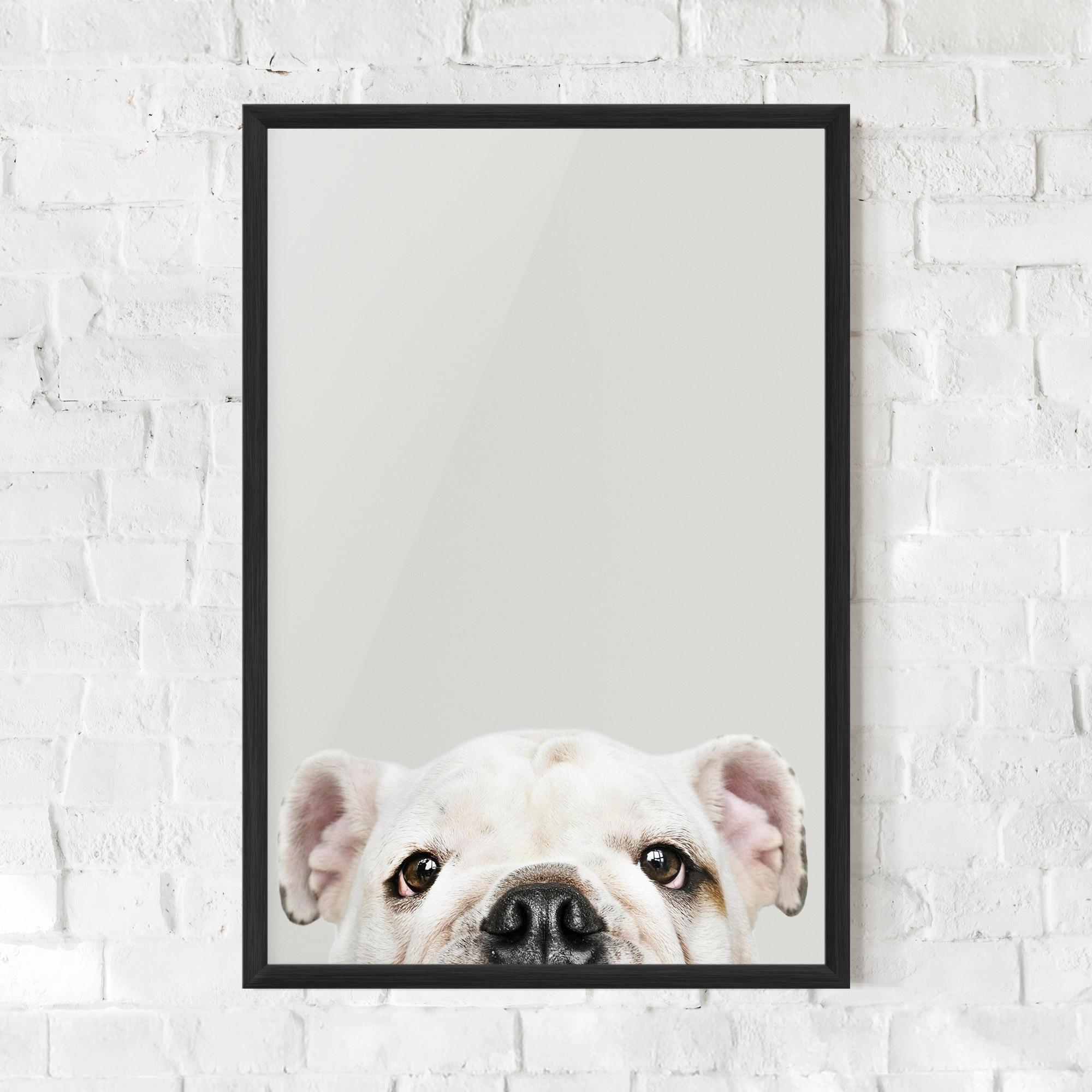 Plakat w Ramie Bulldog Eyes mockup 0
